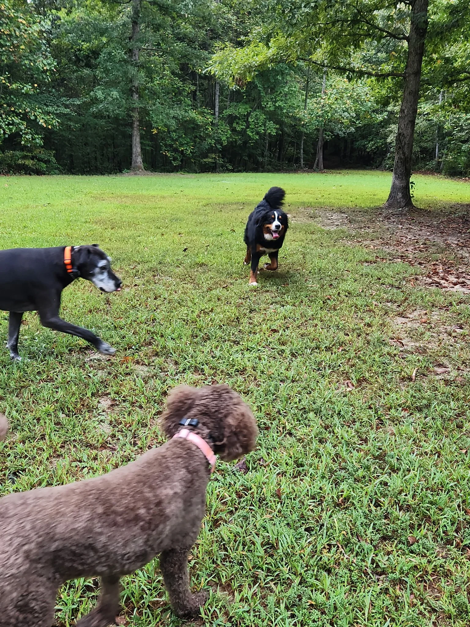 20260912_084124.jpeg
