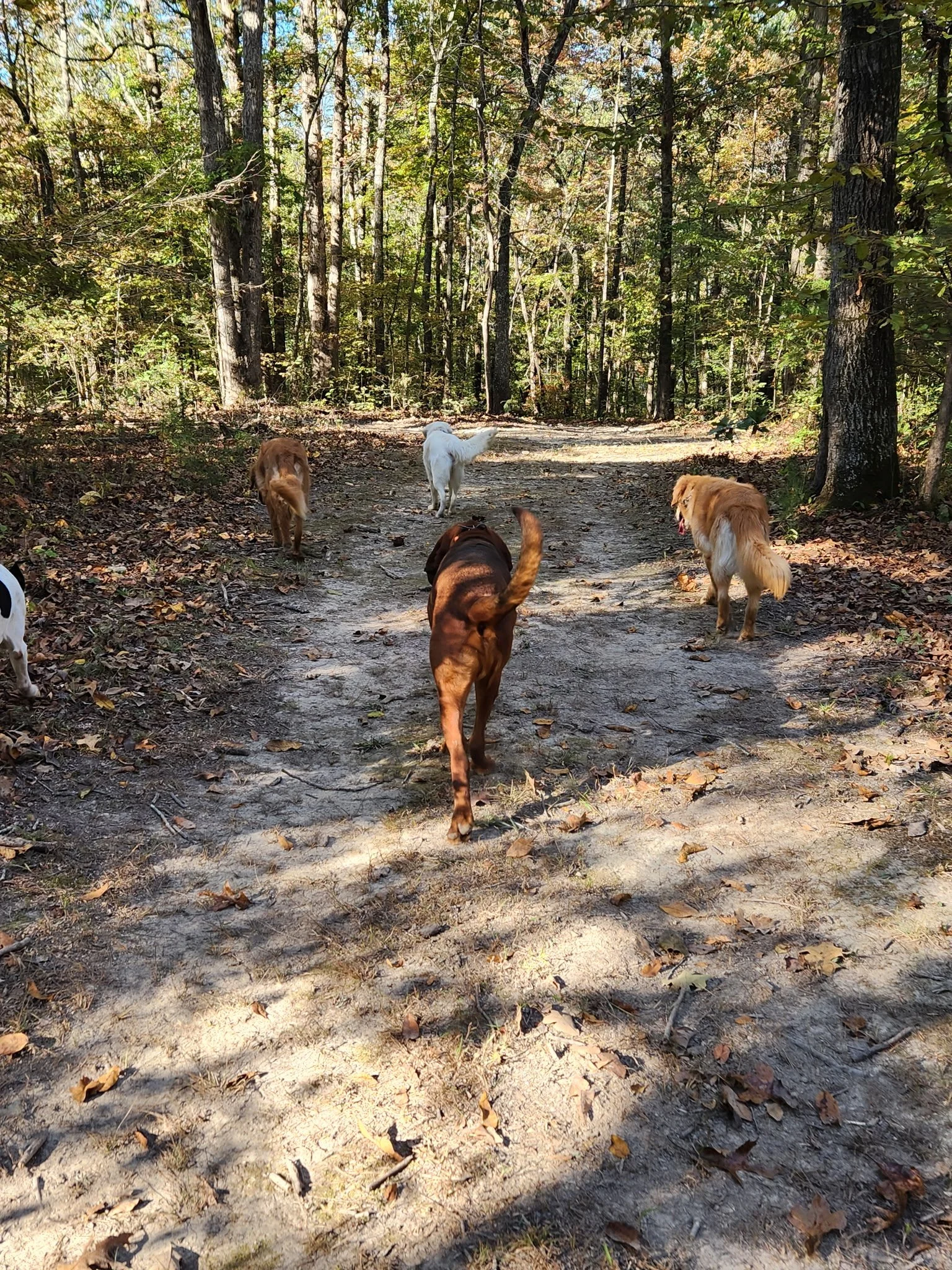 20261022_093836.jpeg