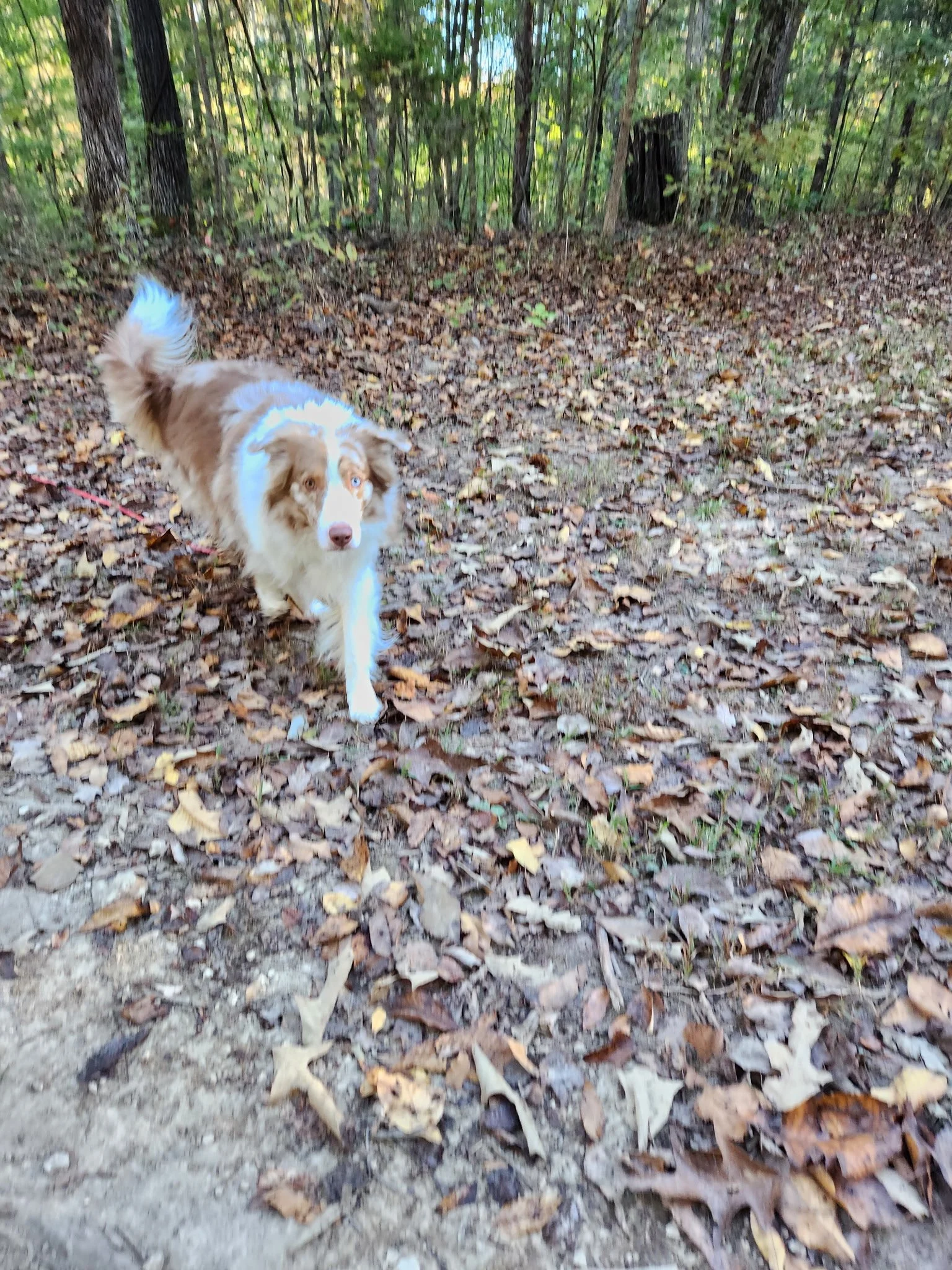 20261021_083920.jpeg