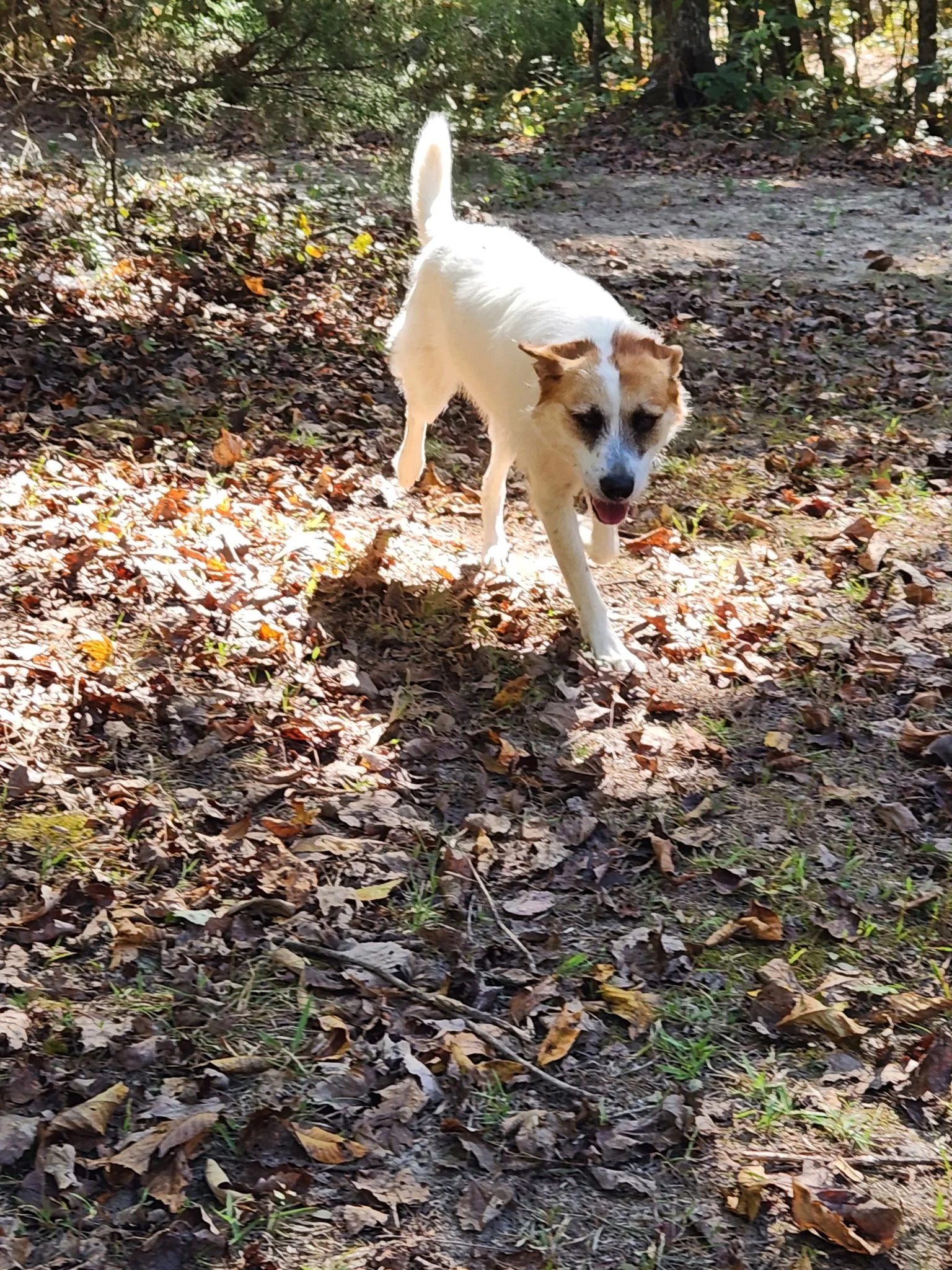 20261020_140032.jpeg