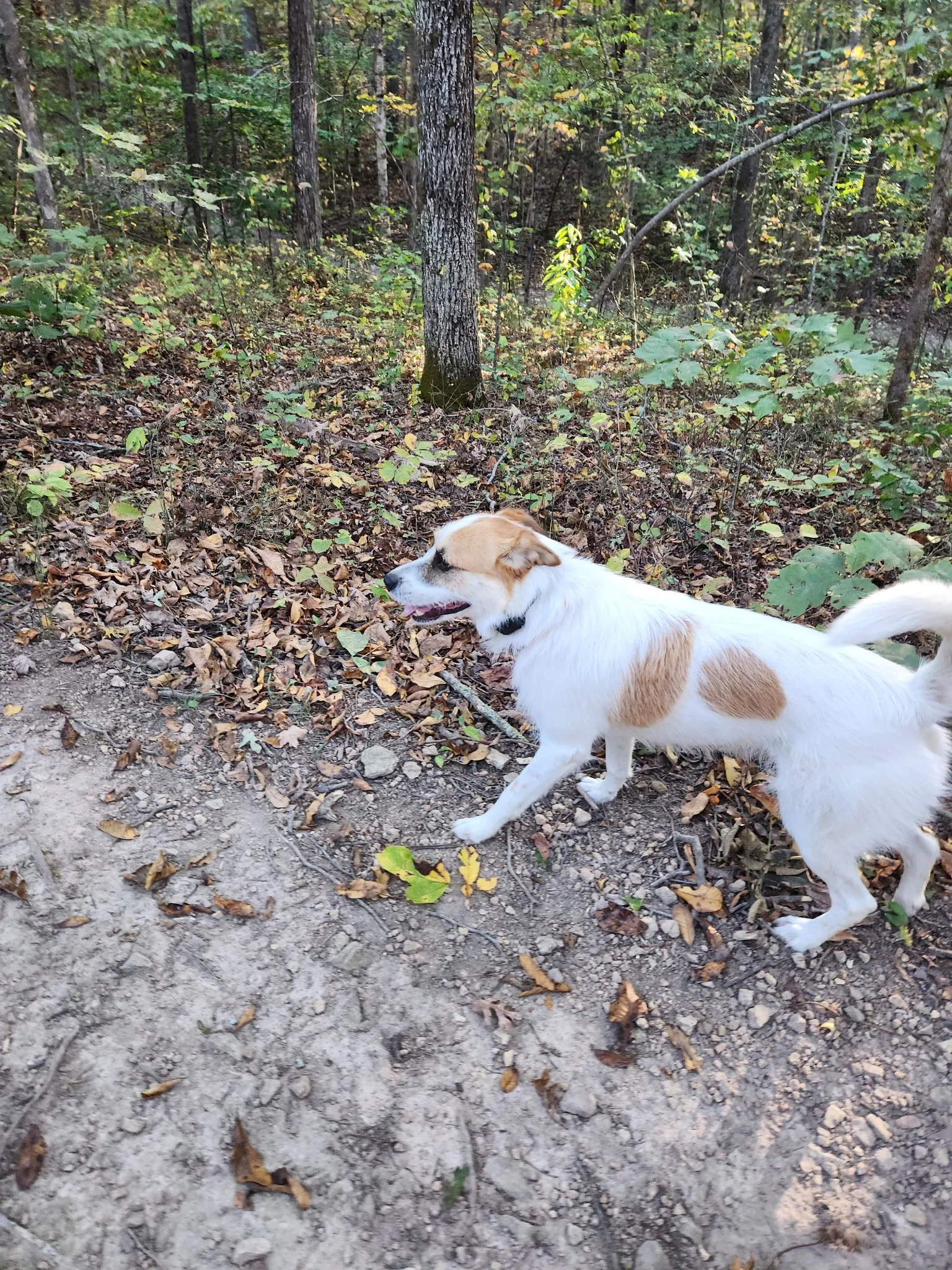 20261023_082130.jpeg