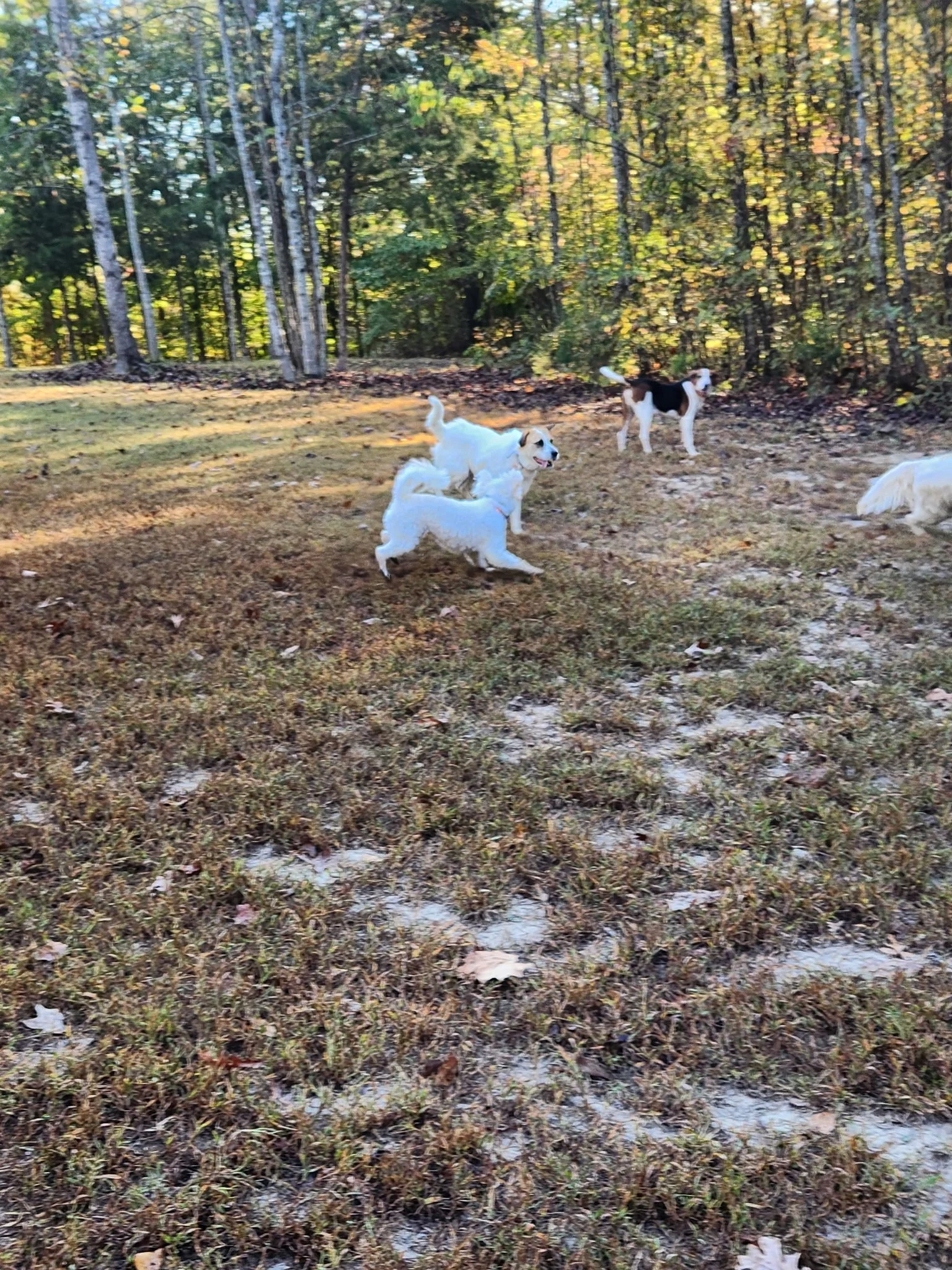 20261024_083311.jpeg