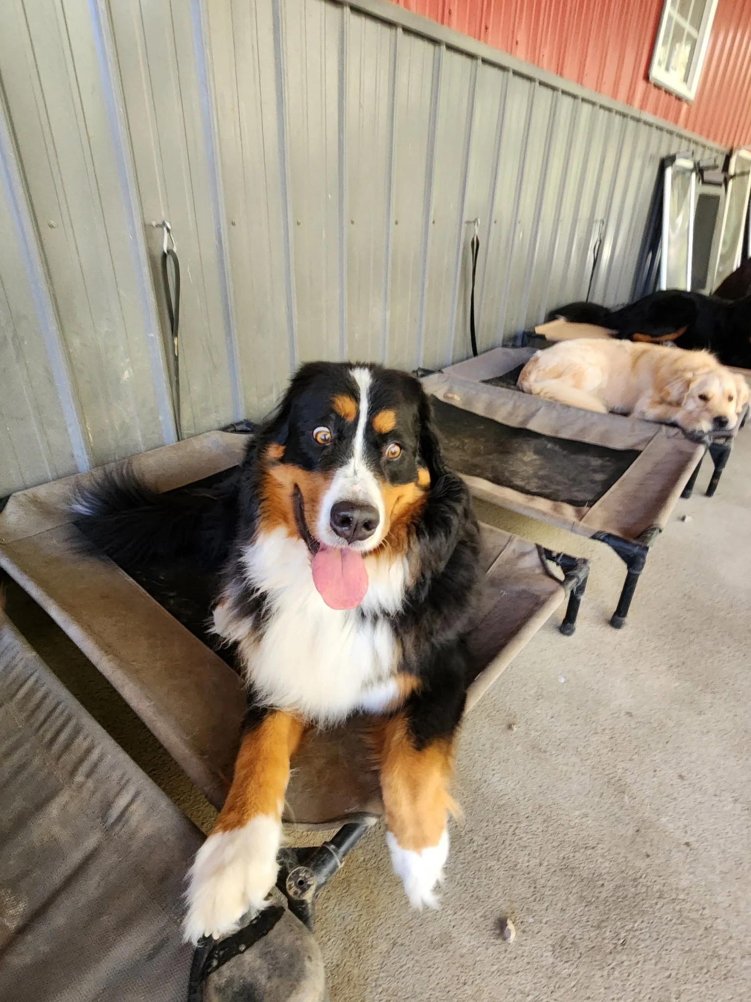 20261024_101038.jpeg