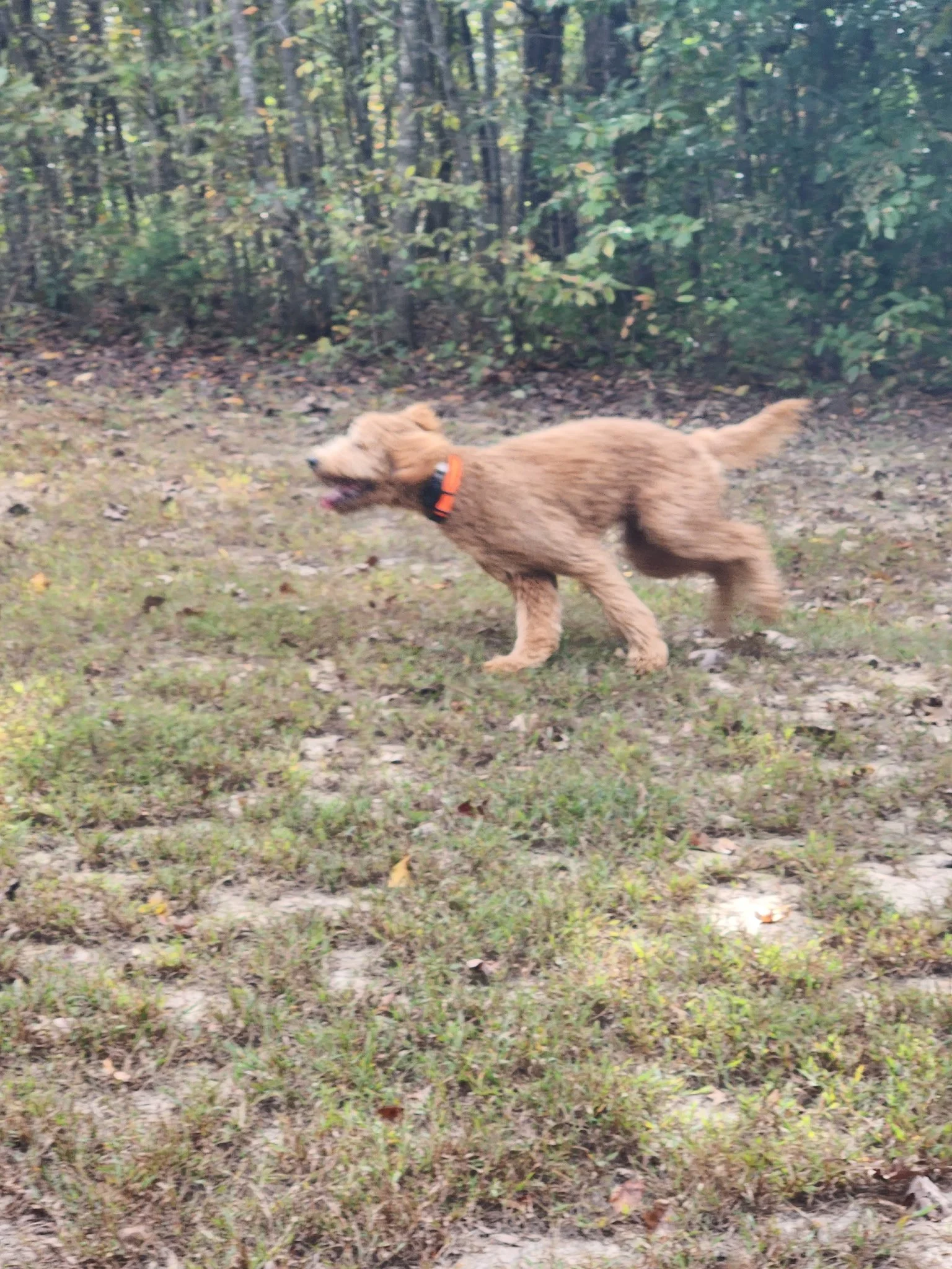 20261017_093904.jpeg