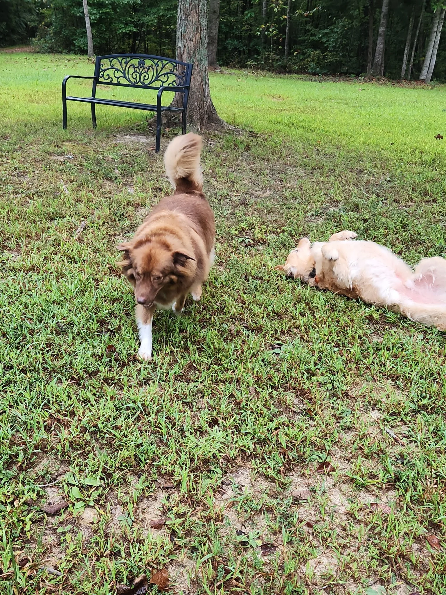 20260912_084130.jpeg