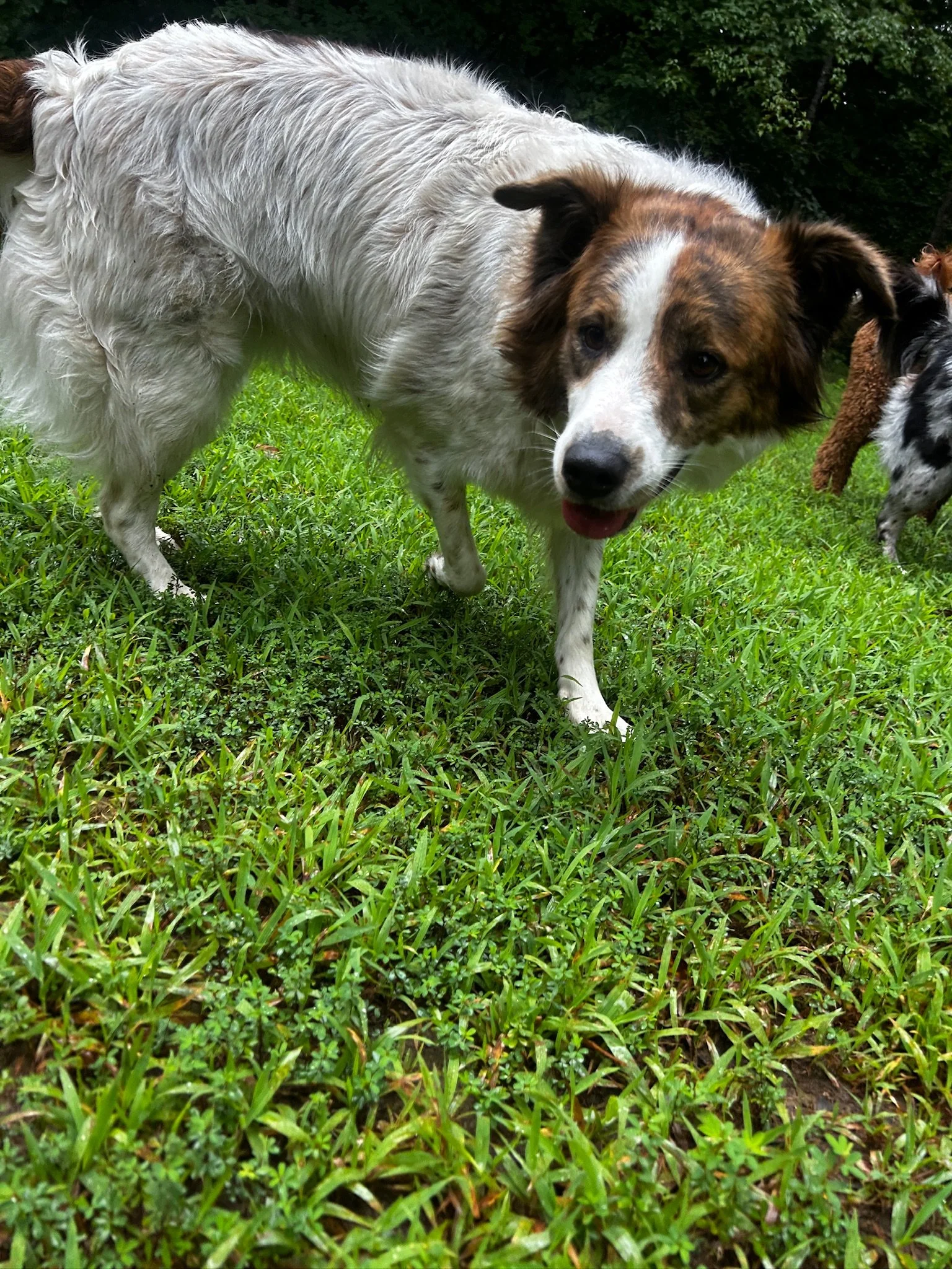 IMG_8489.jpeg