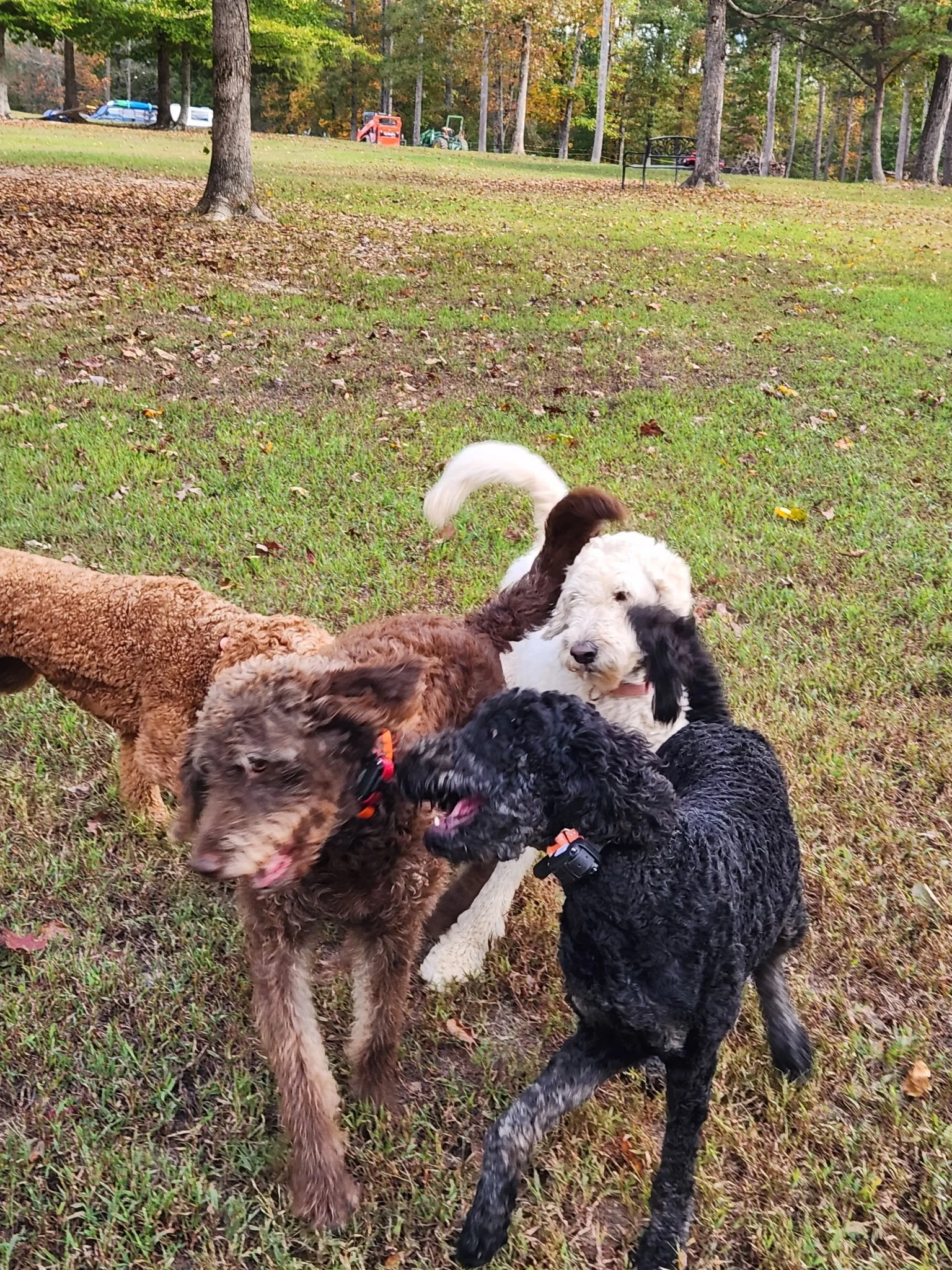 20261017_101701.jpeg