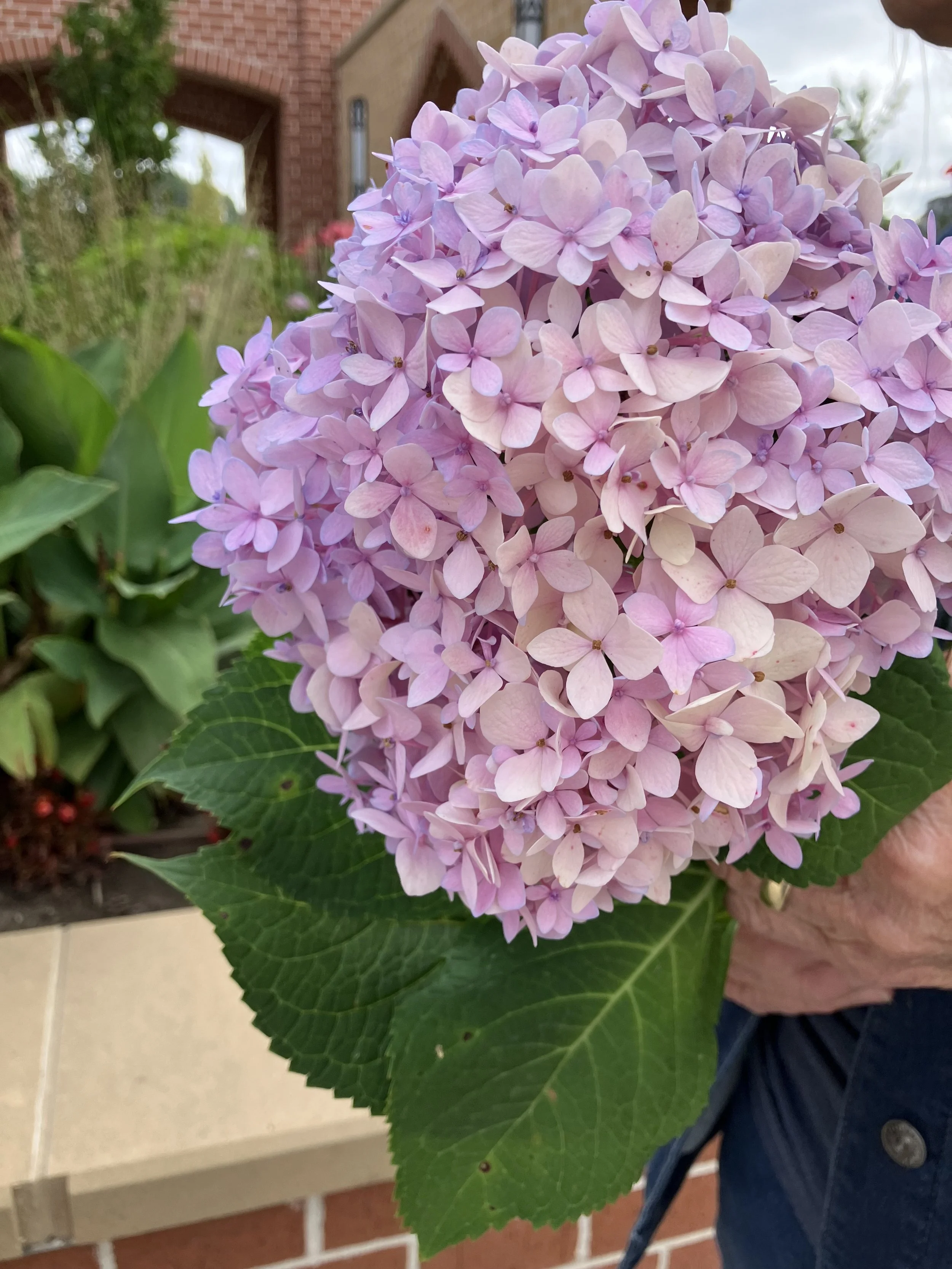 IMG_7679.jpeg