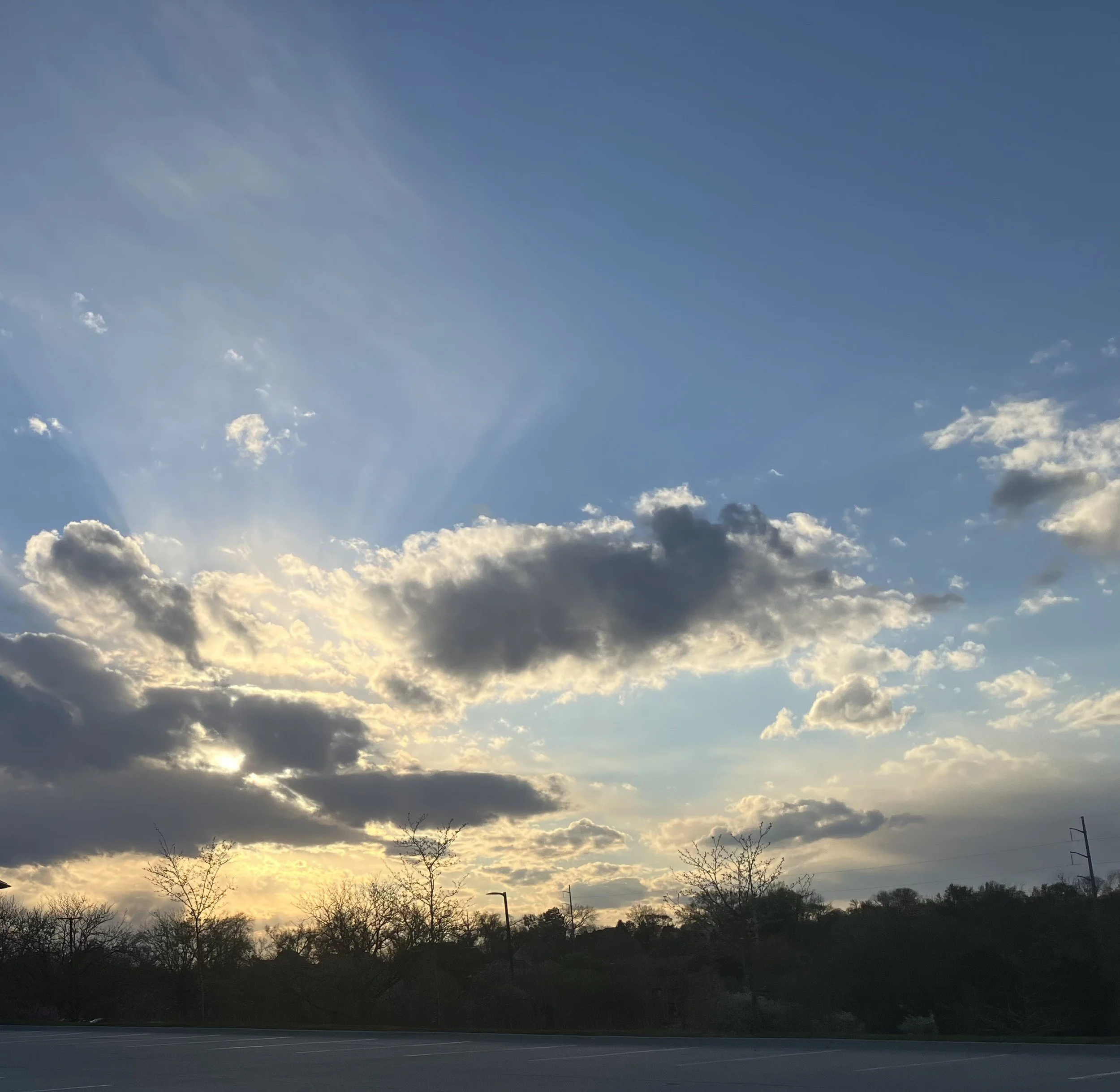 IMG_6037.jpeg
