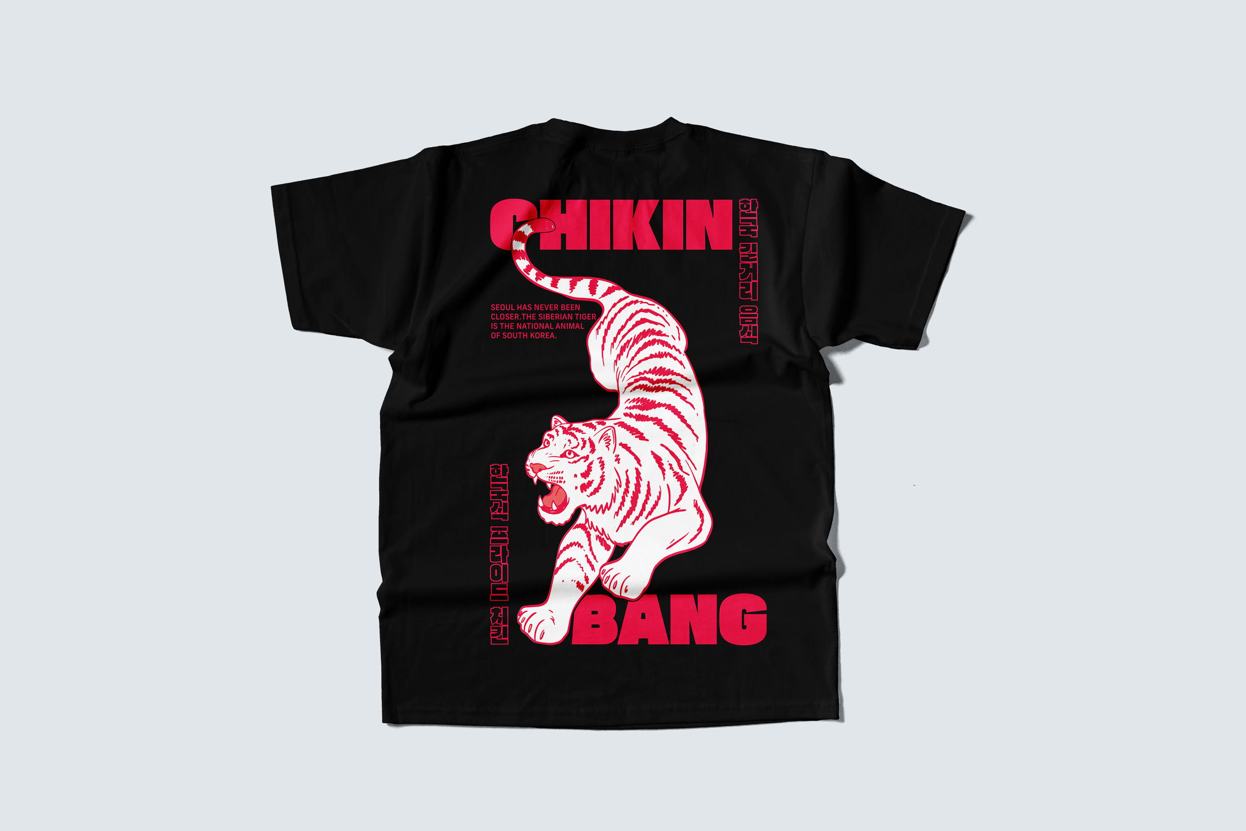 t shirt 1.png
