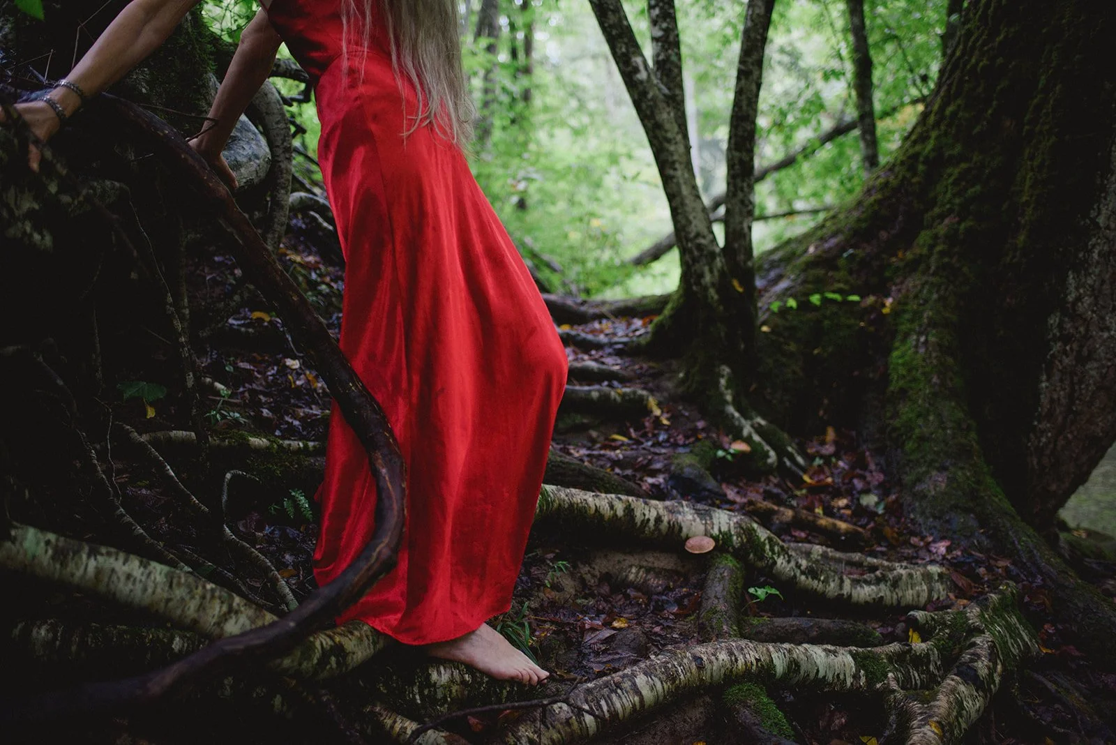 boudoir woodland 