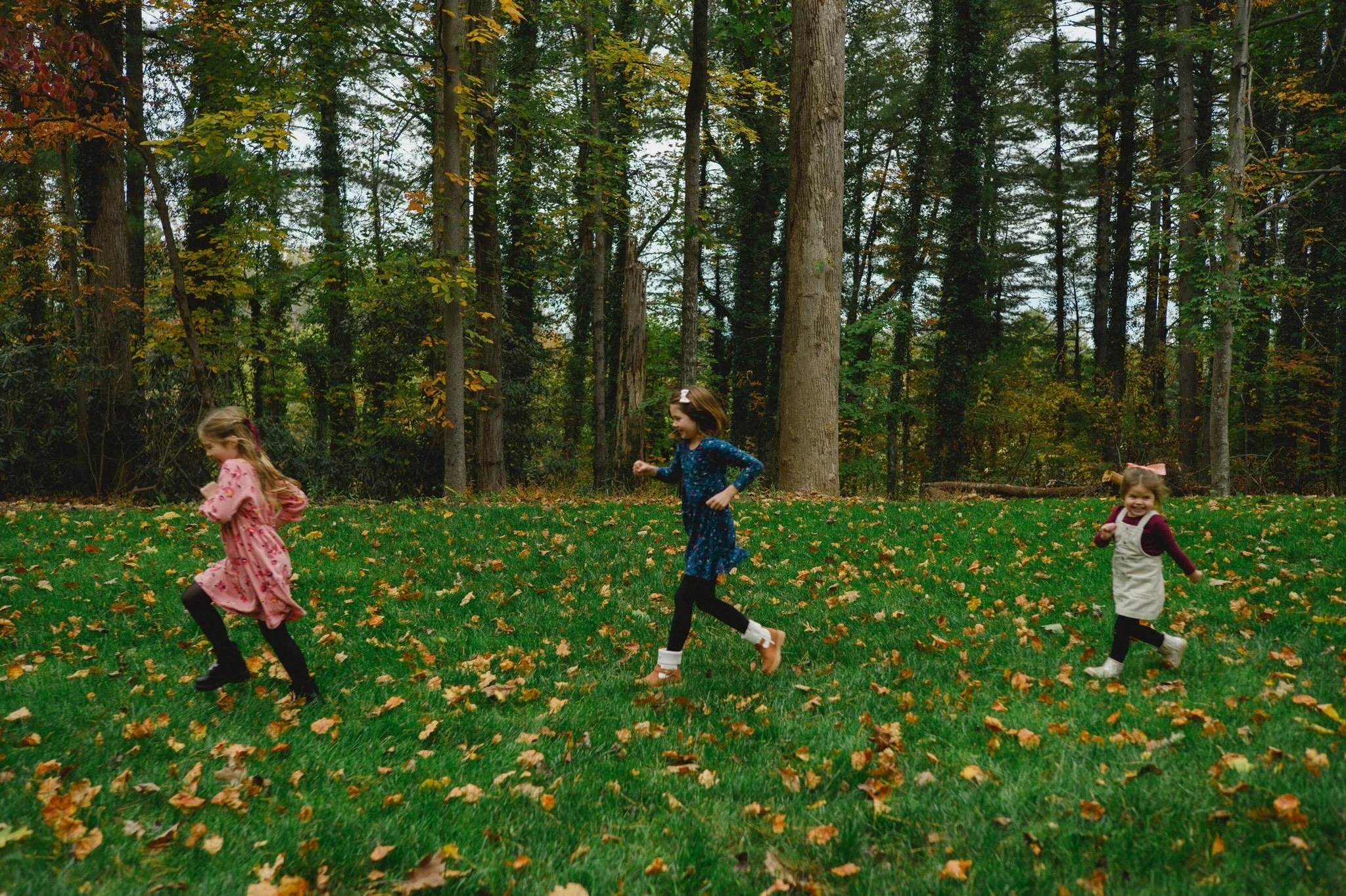 I&rsquo;m traveling quite a bit this October and that means I honestly have just a tiiiiny bit of weekend space to fit your family in.  If you can do a weekday, we are GOLDEN. 
Also here to say, October always gets all the attention but November ligh