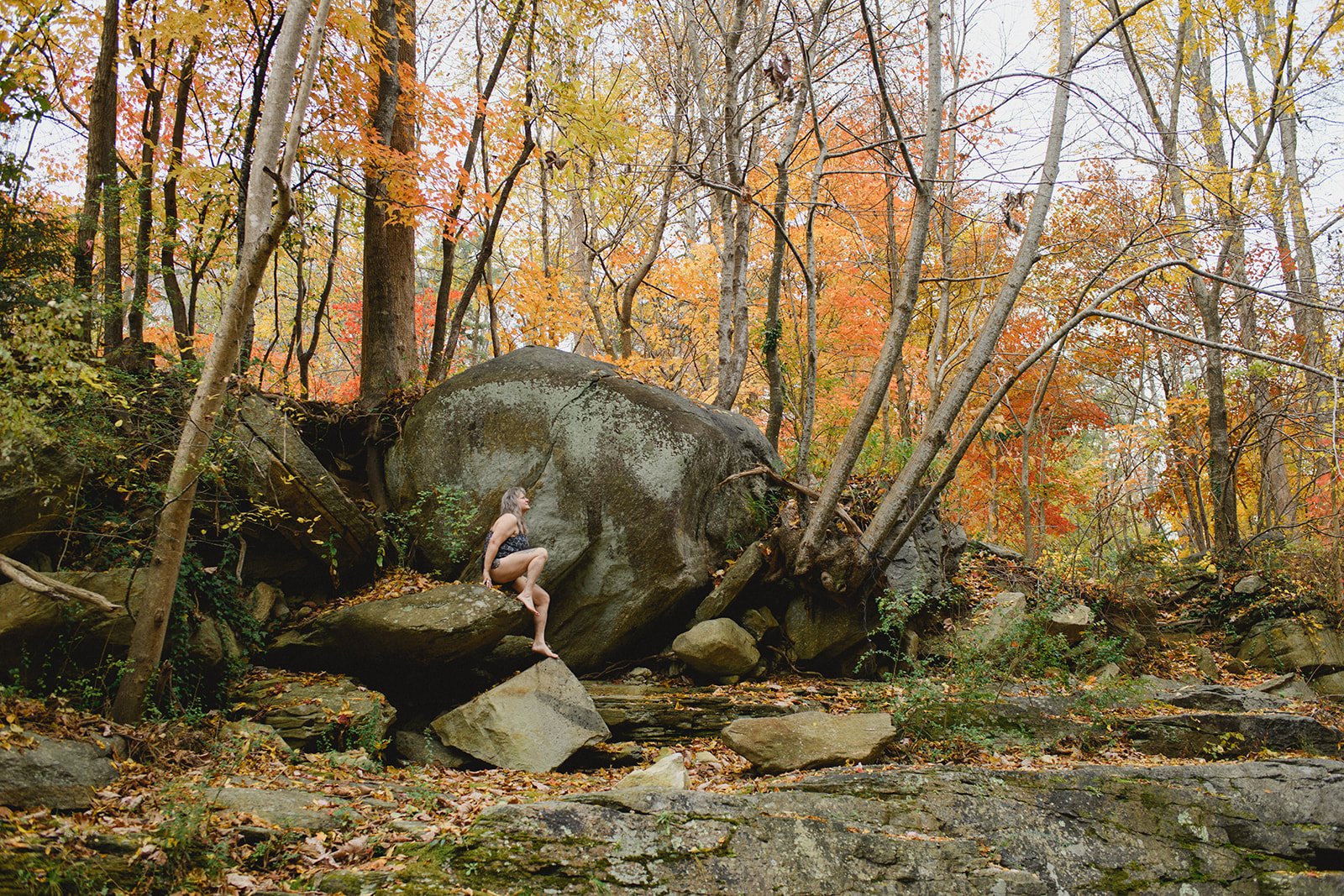 DSC_2803_websize.jpg