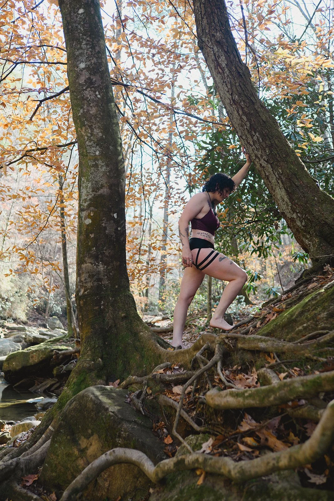 DSC_5415_websize.jpg