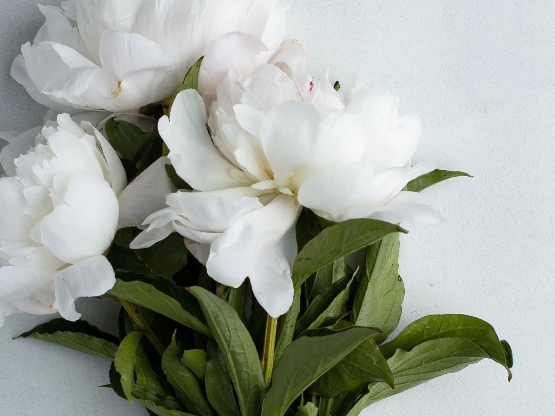 003: 2 Things I’d Start Doing Right Now if I Were Pregnant (and still do to this day to reach goals!)