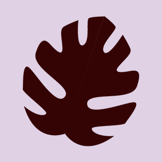 Dark brown Monstera leaf on a light purple background.