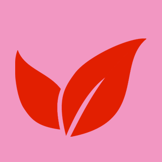 Simple graphic of a pink background with two red leaves.