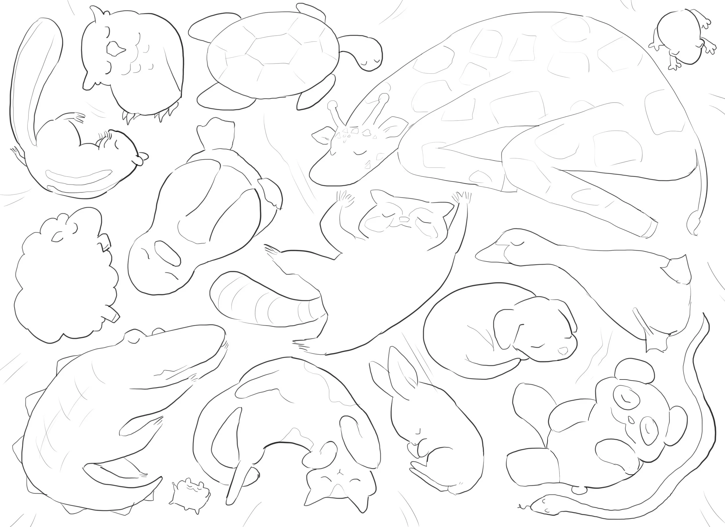 sketch1.jpg