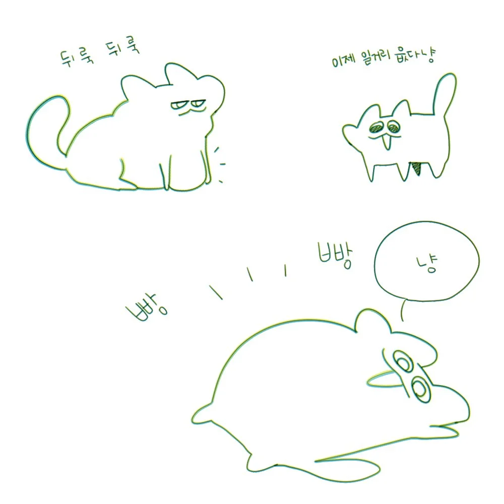 냥3.jpg