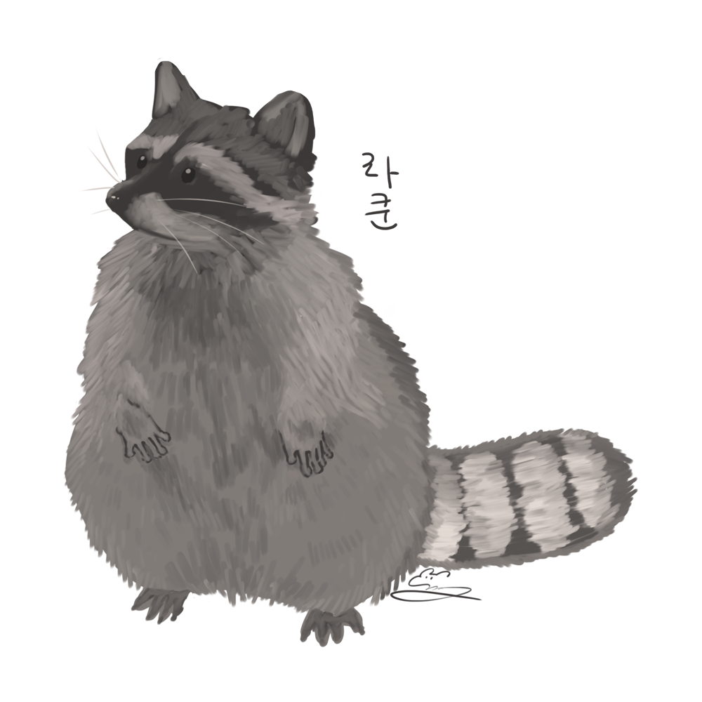 라쿤님.png