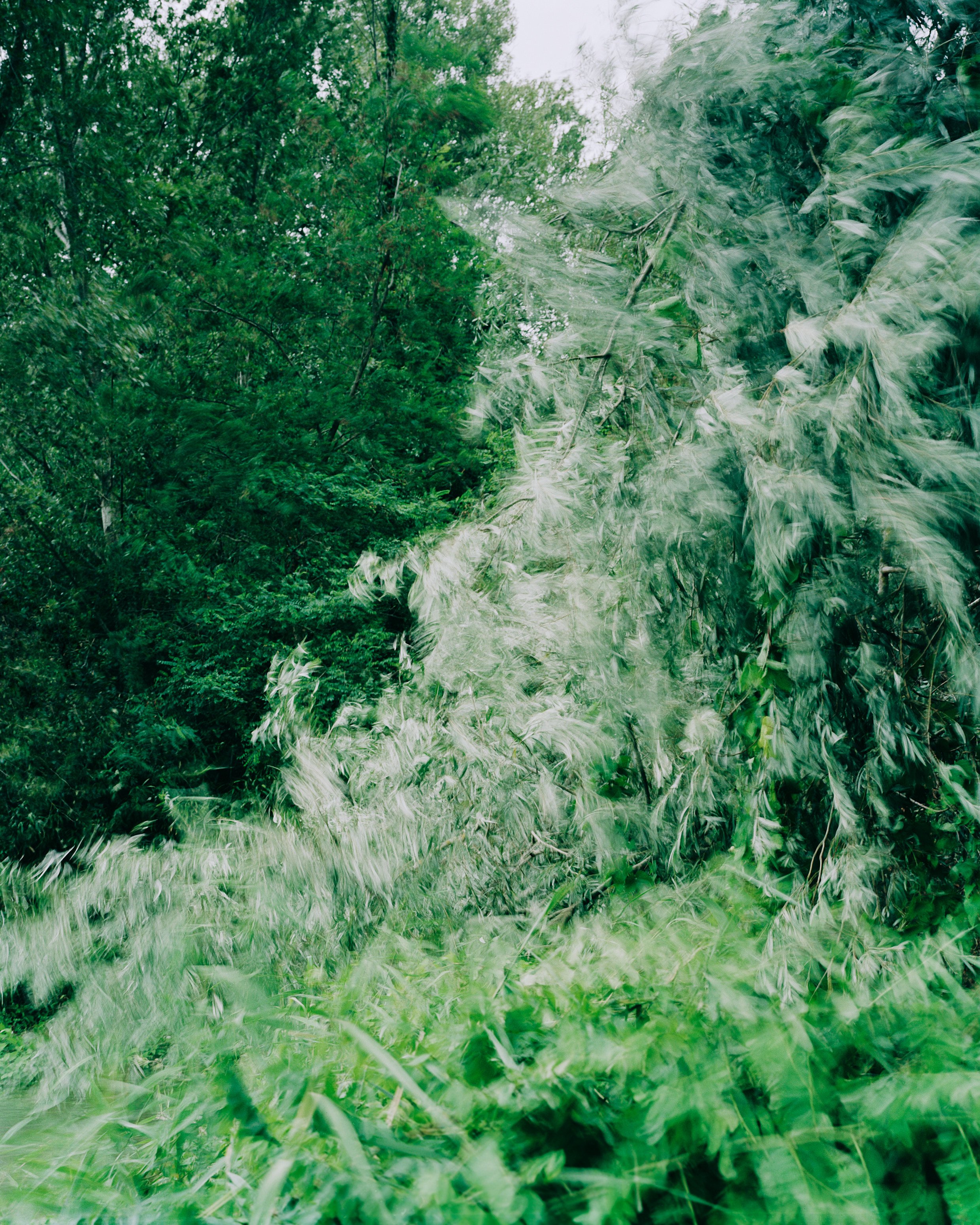 Website_Eden 20.jpg