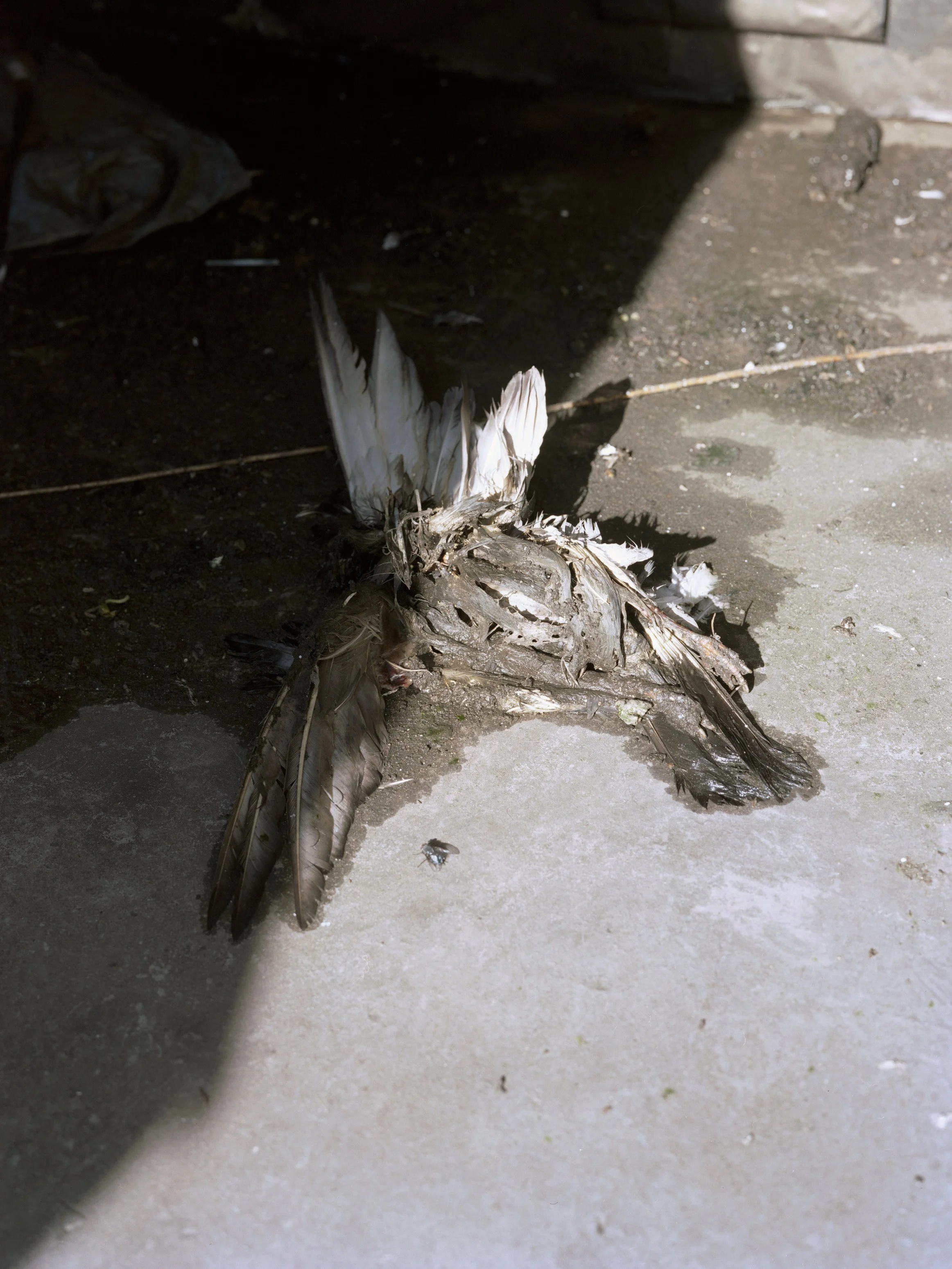 Website_Unresolved  24.jpg