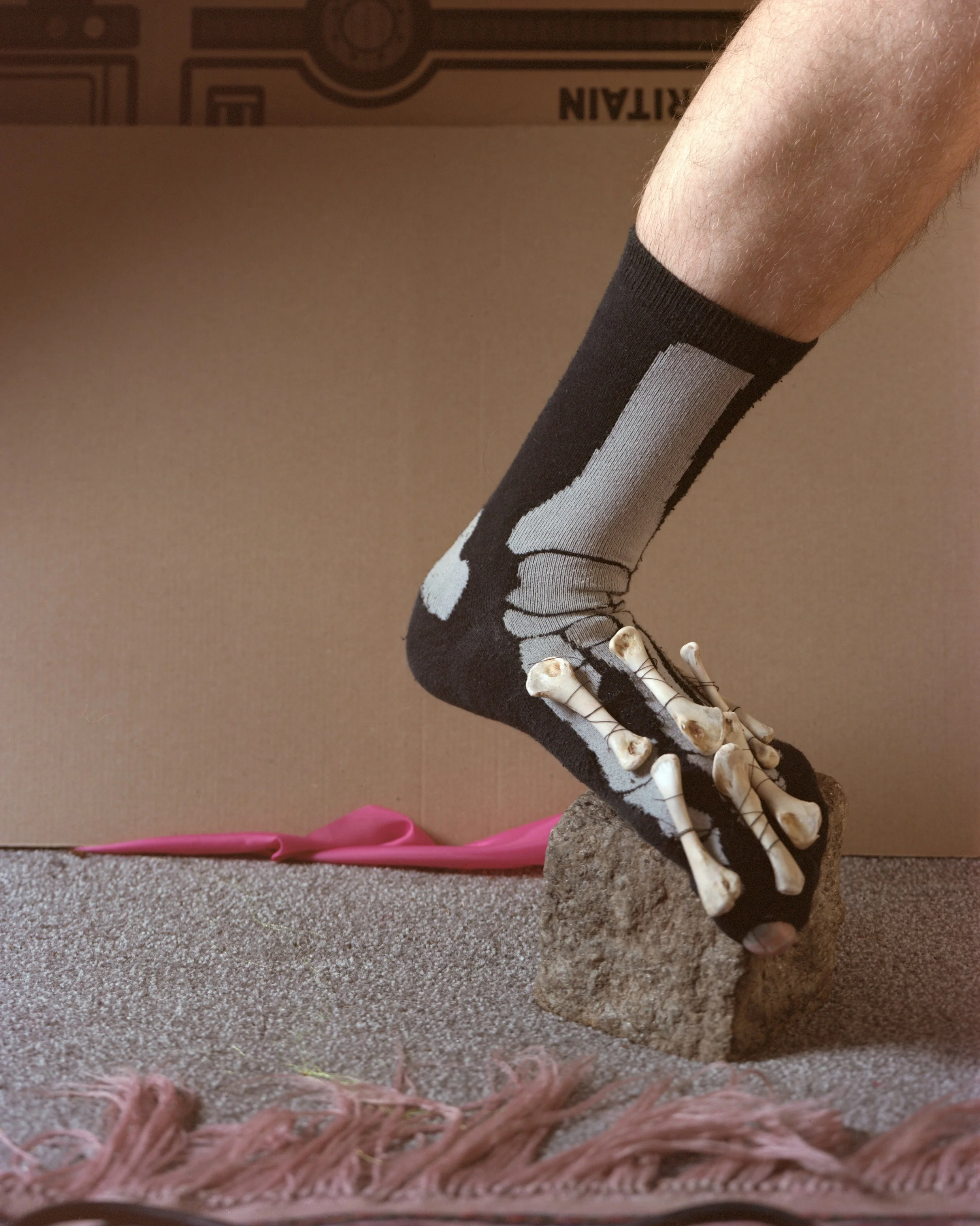 Website_creature comfort 05.jpg