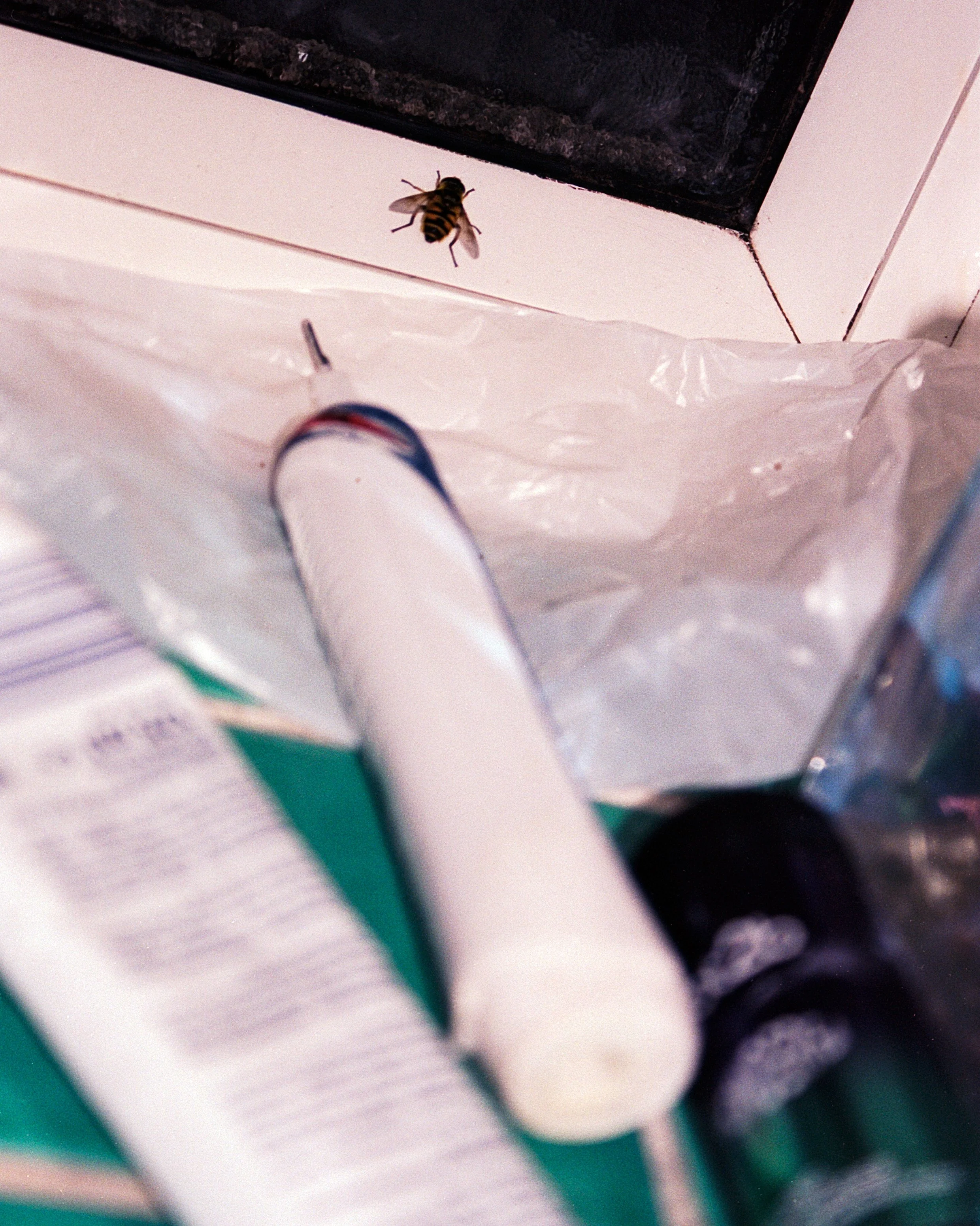 Website_creature comfort 09.jpg