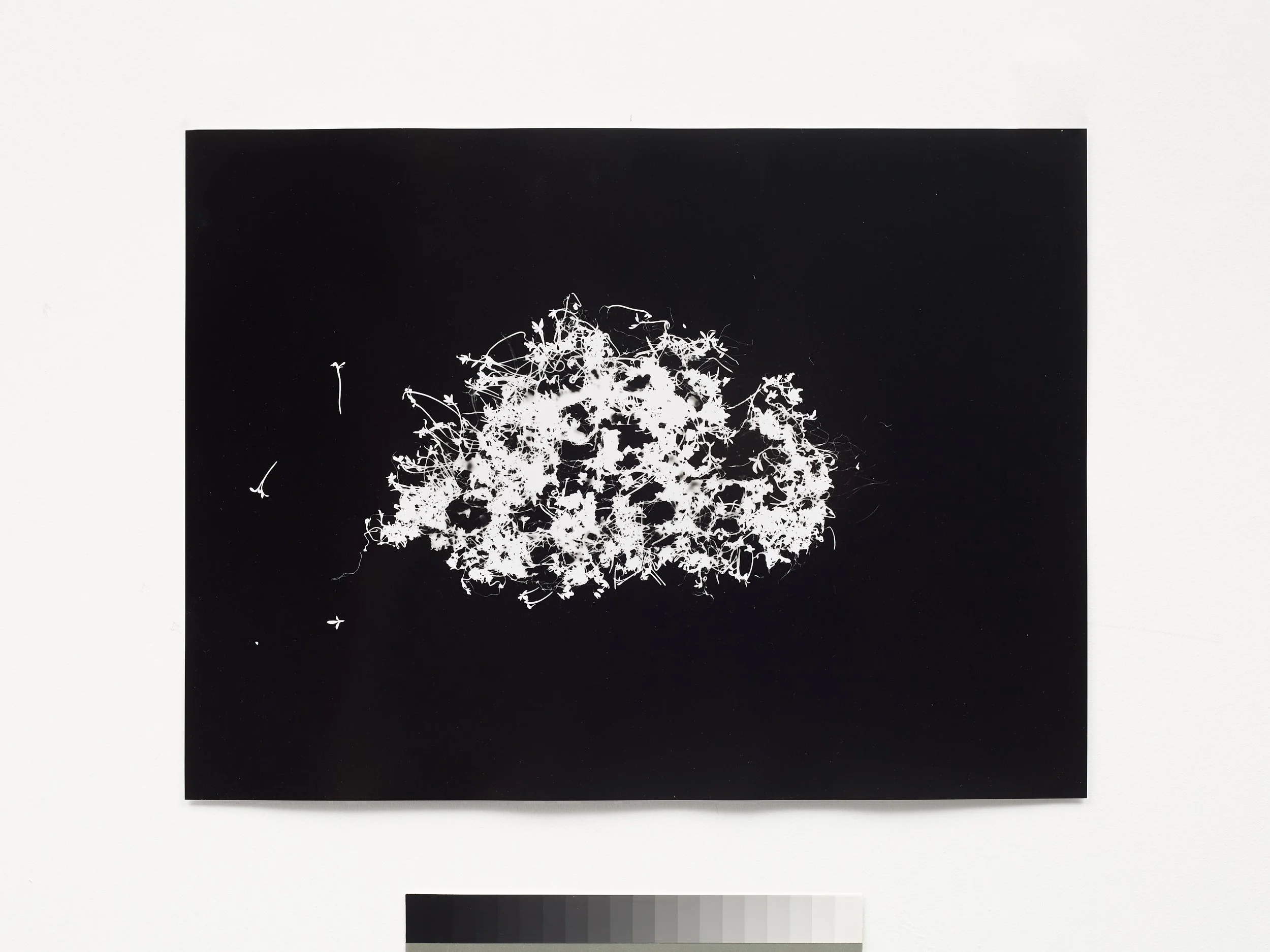 Studio_ArtDoc_021.jpg