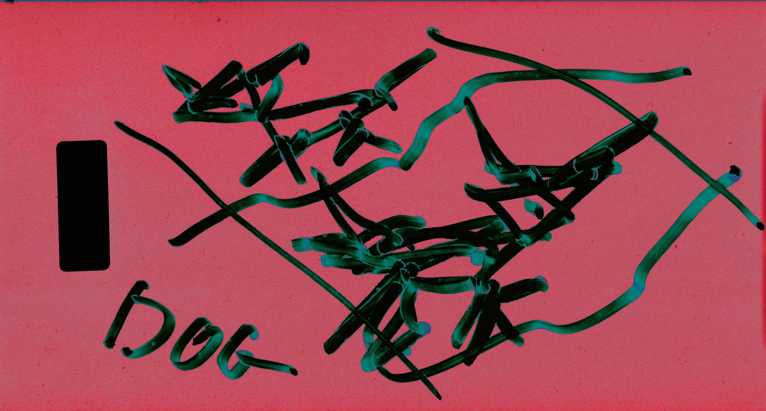 Website_Drawings 20.jpg