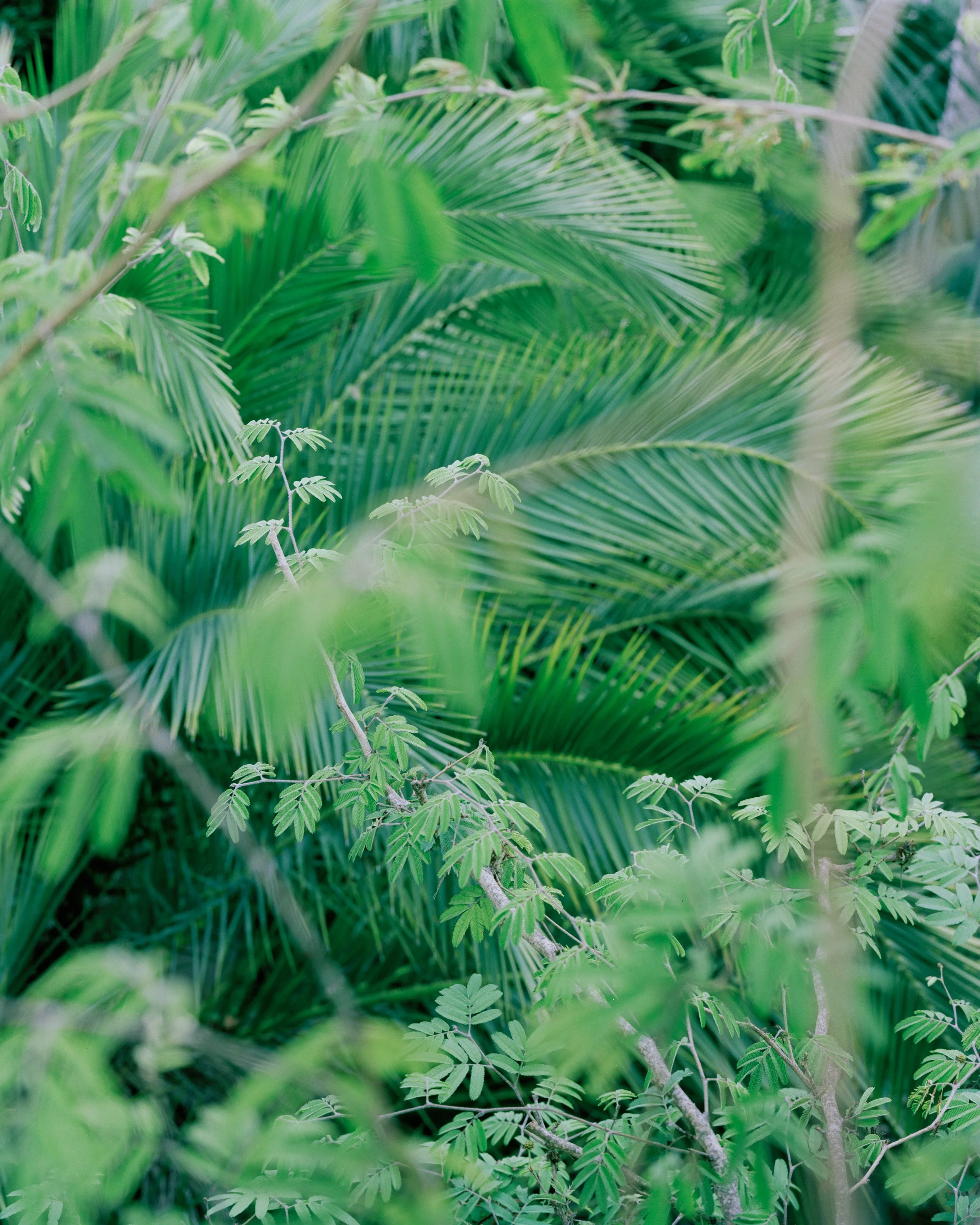 Website_Eden 05.jpg
