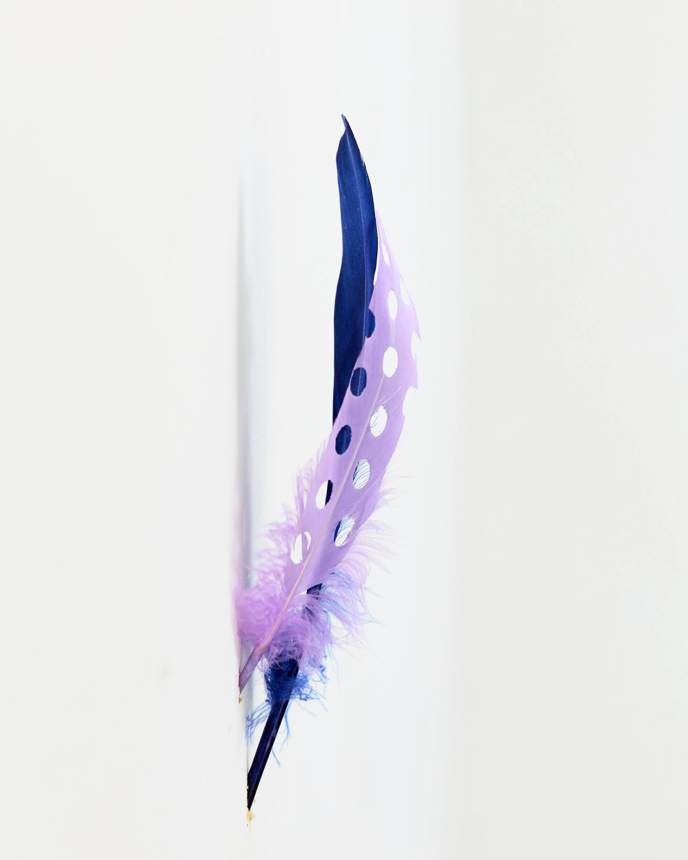 Studio_ArtDoc_019.jpg