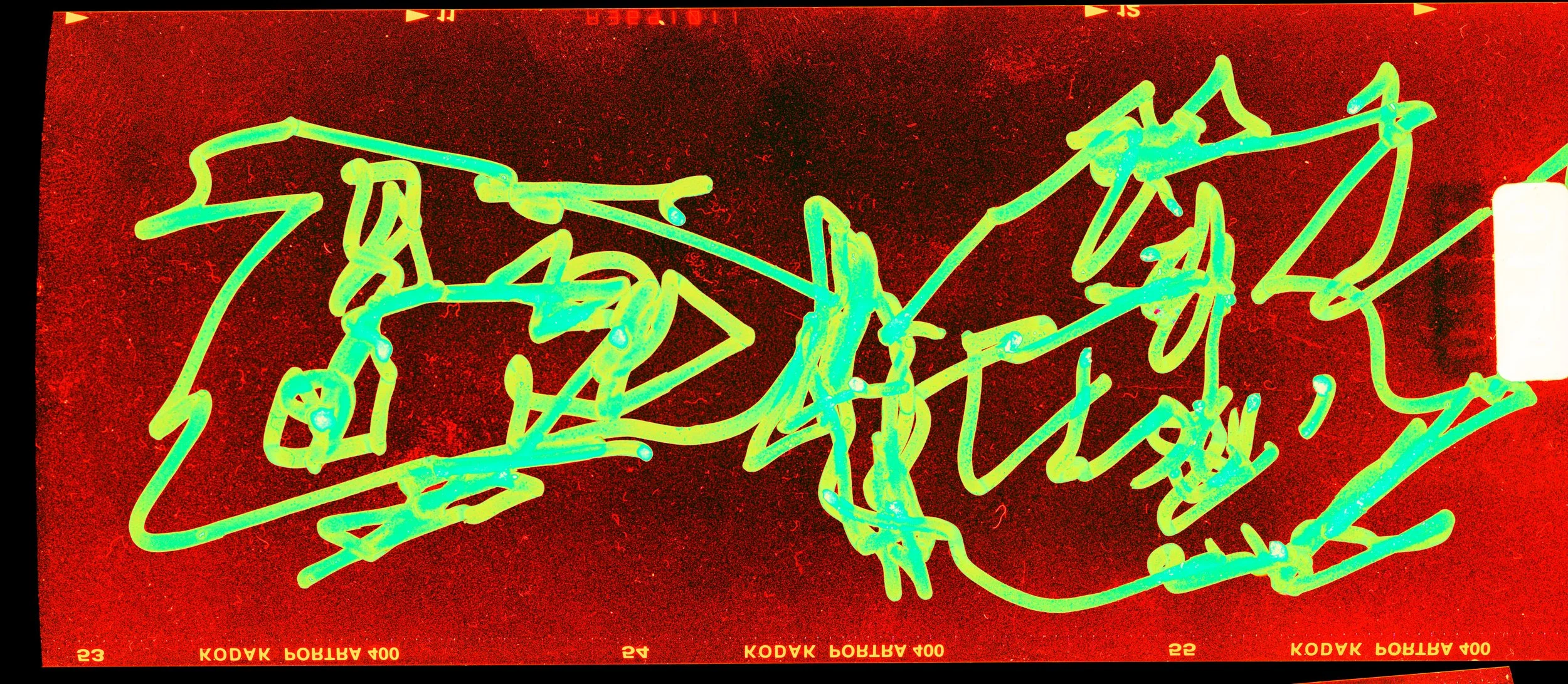 Website_Drawings 05.jpg