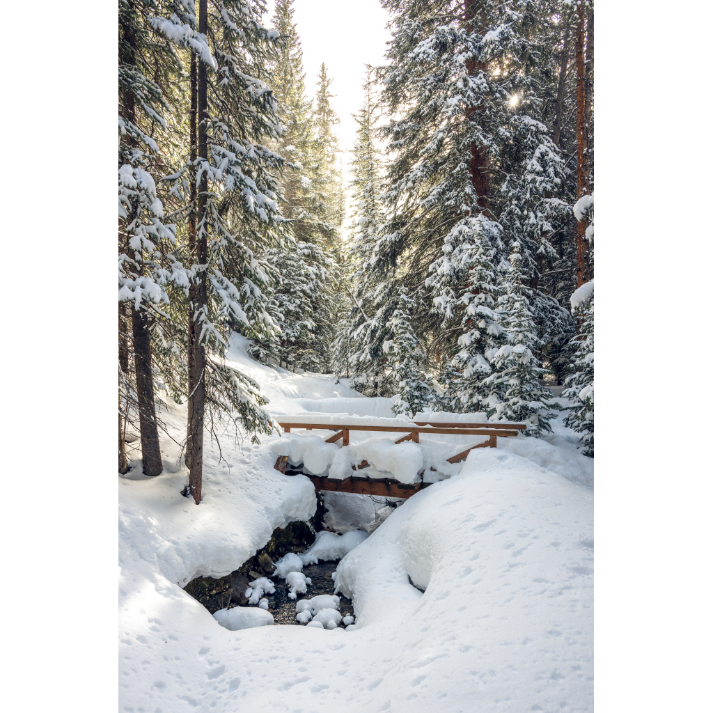 Winter Wonderland