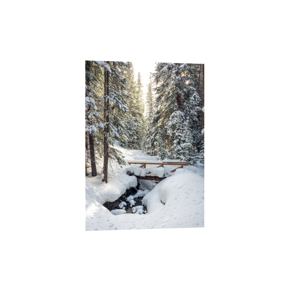 Winter Wonderland