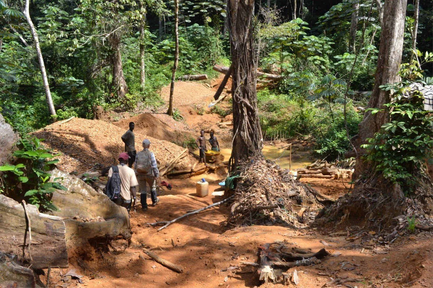Investigating laterite-hosted gold being mined by artisanal gold miners. laterite hosted gold means the primary source is proximal, not necessarily directly below because of the mushroom-dispersal effect of gold in the laterite regolith, but close.
