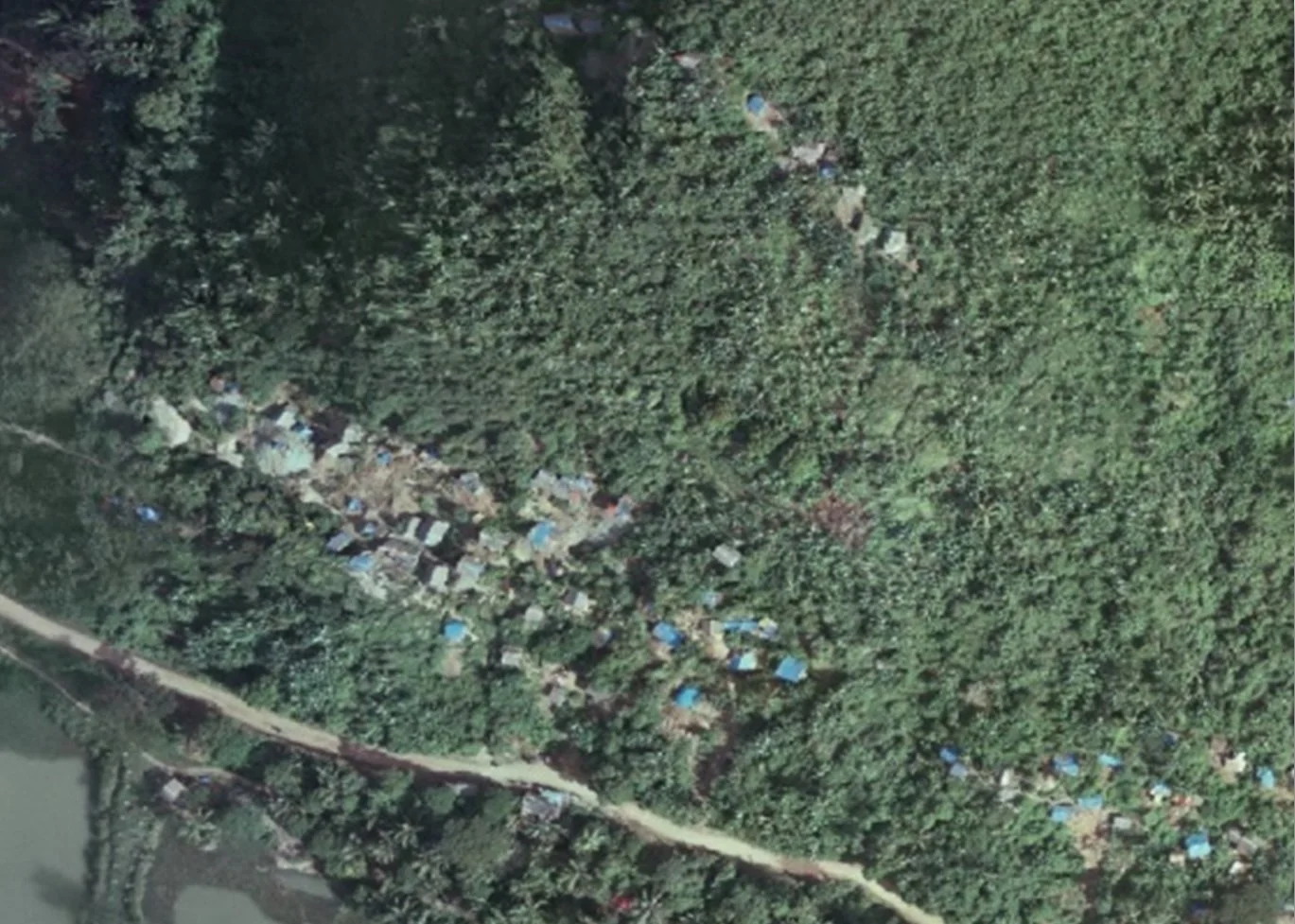 Aerial view of small-scale gold miners that mine primary, hard rock. their blue tarps on the south and north ends of the image show clustering of gold workings along specific trends, marking possibly fold-nose-related control on gold mineralization.