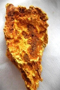 a 4 gram gold nugget that formed in the mottled zone of the laterite regolith, Suriname jungle