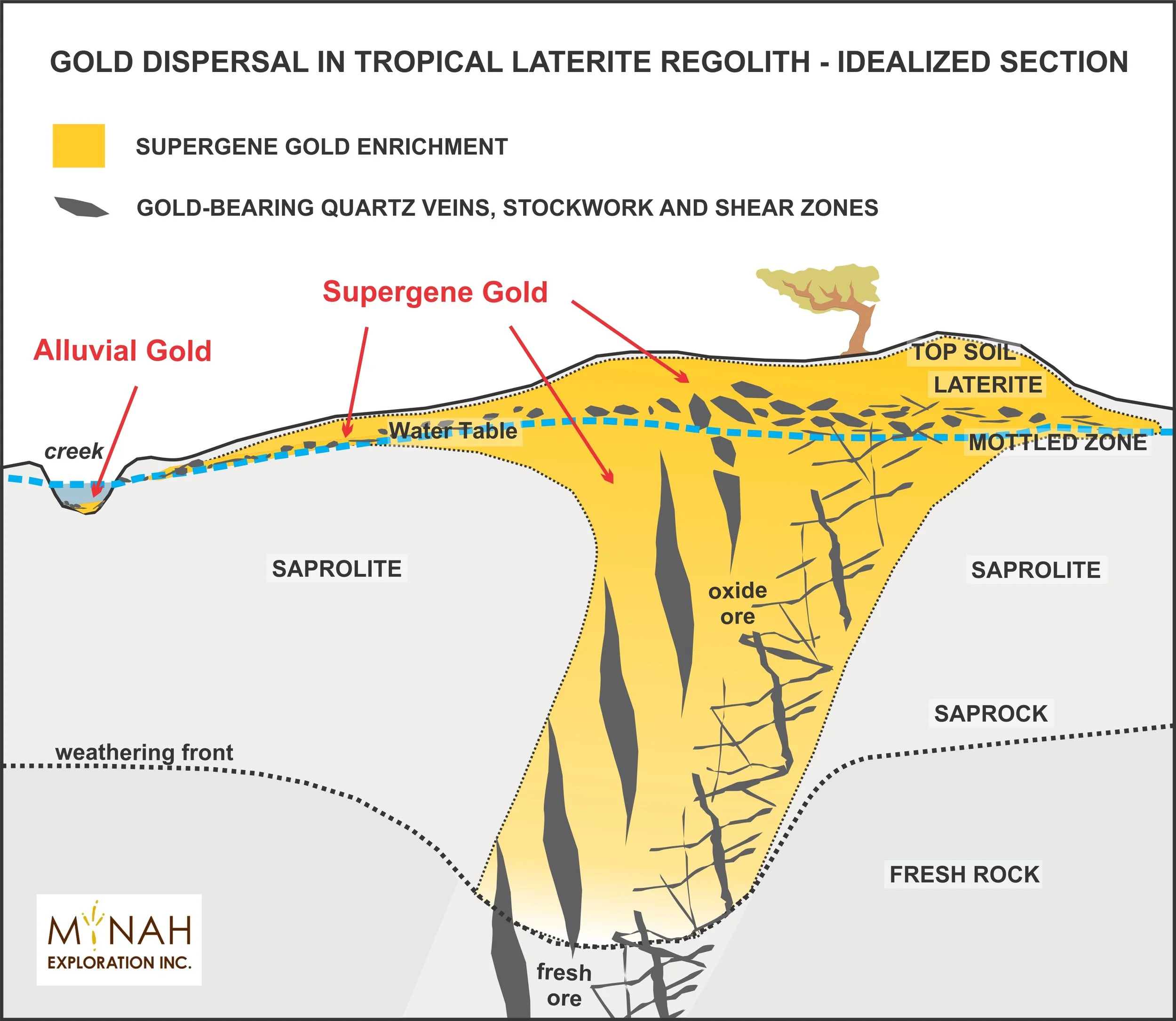 Diagram showing gold dispersal in tropical laterite regolith, highlighting supergene gold enrichment, alluvial gold, water table, oxide zone, and fresh rock layers with labels and a legend.