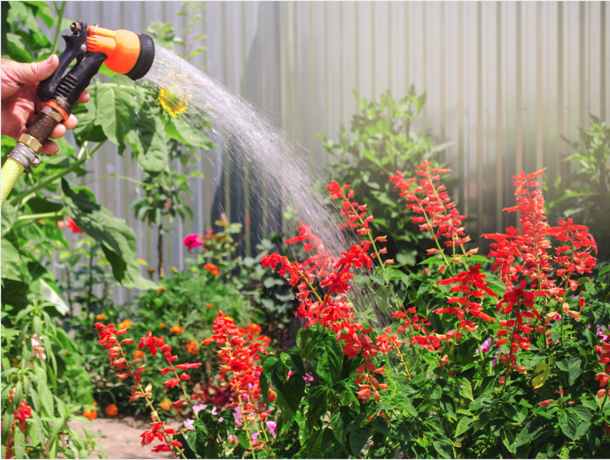 Flower Watering