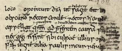 Close-up of Codex Amiatinus C301 with Old-Irish glosses on a the Milan Commentary on the Psalms.