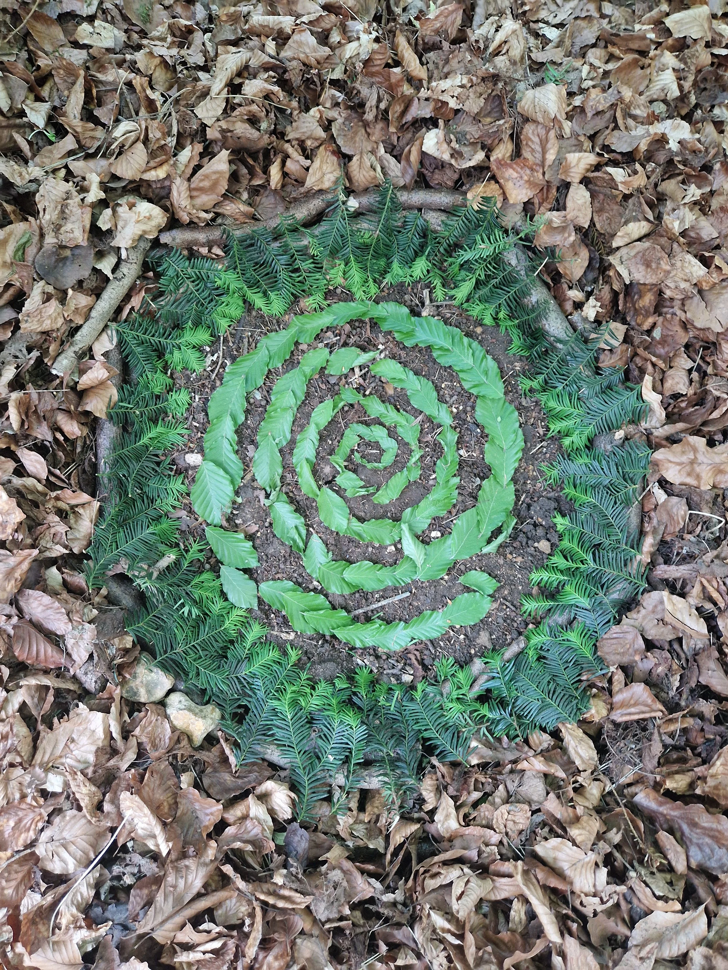A spiral pattern made with green leaves on the ground among dried brown leaves and small twigs.