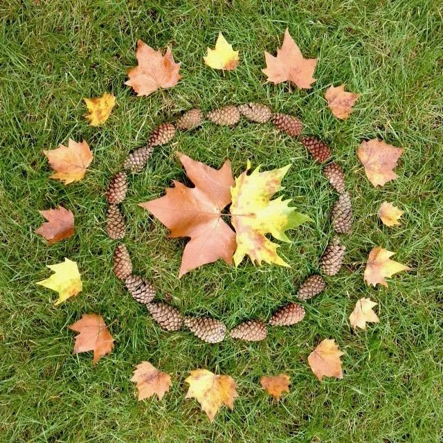 Autumn leaves and pinecones arranged in concentric circles on grass.
