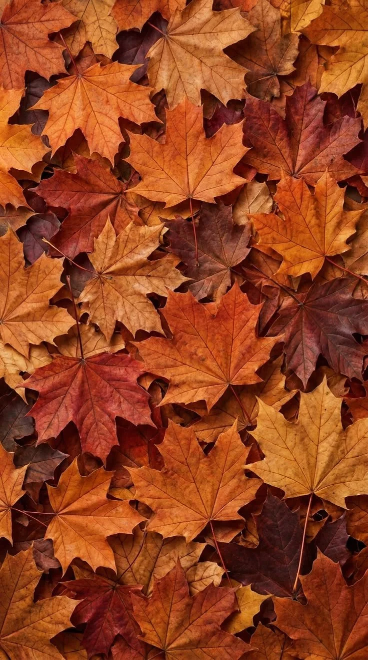 Warm Fall Leaves Aesthetic Phone Wallpaper.jpg