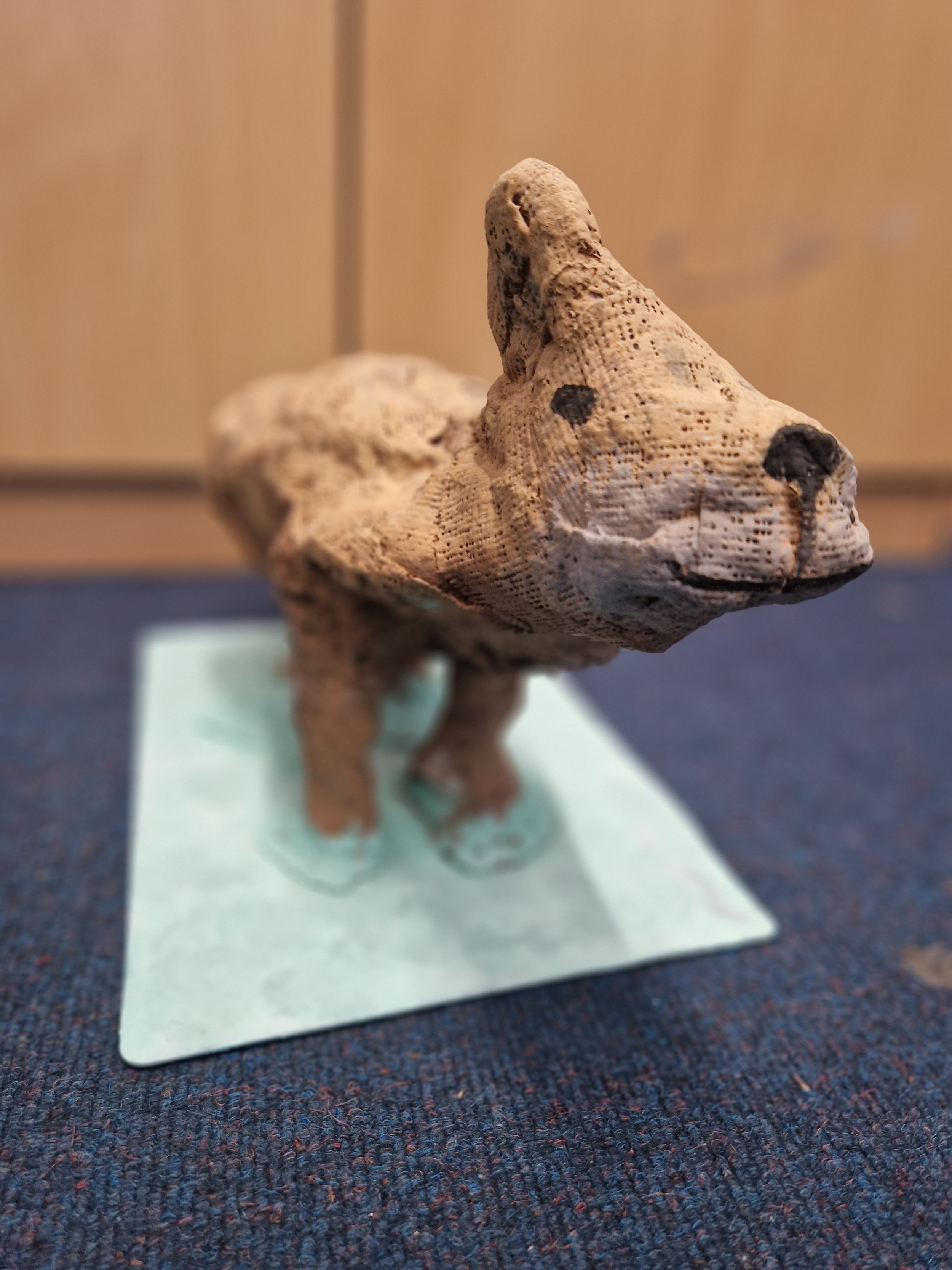 Close-up of a fossilized coral or shell displayed on a small stand at a museum exhibit.