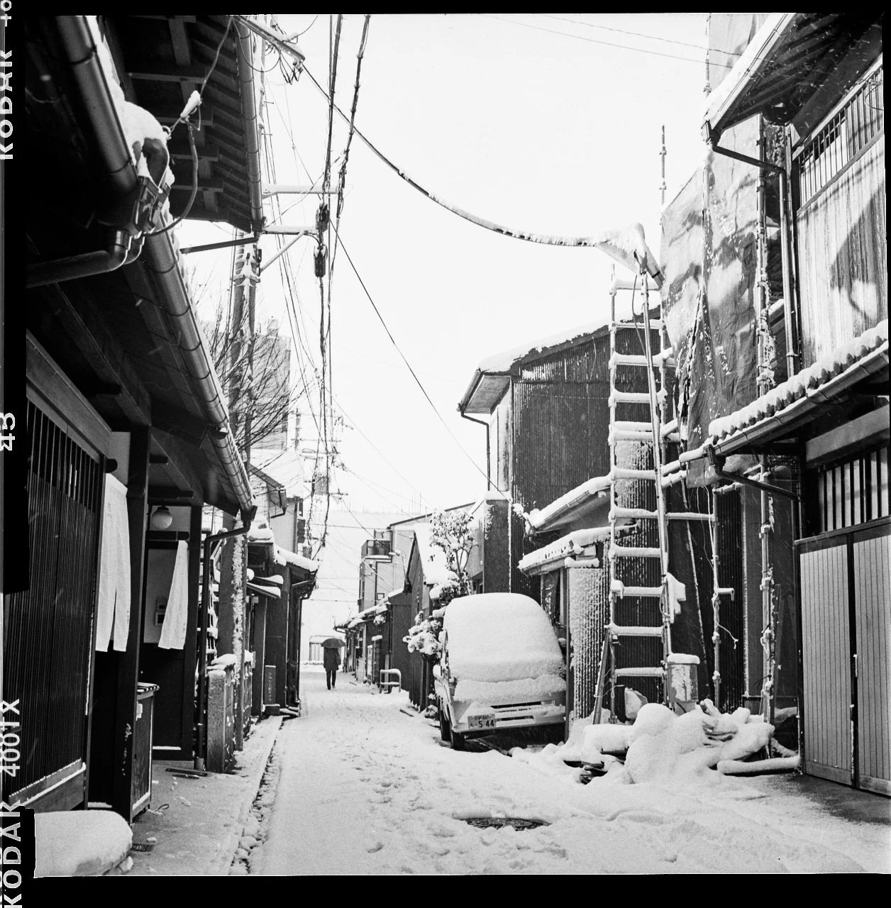JAPAN31.jpg