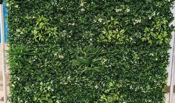 Green living wall with various plants and small white flowers.