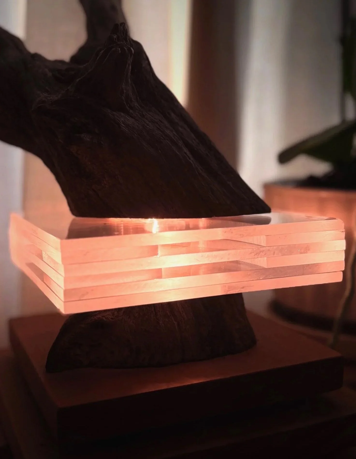 Close-up of a light sculpture mounted on a natural wood base, with soft lighting highlighting the contours.