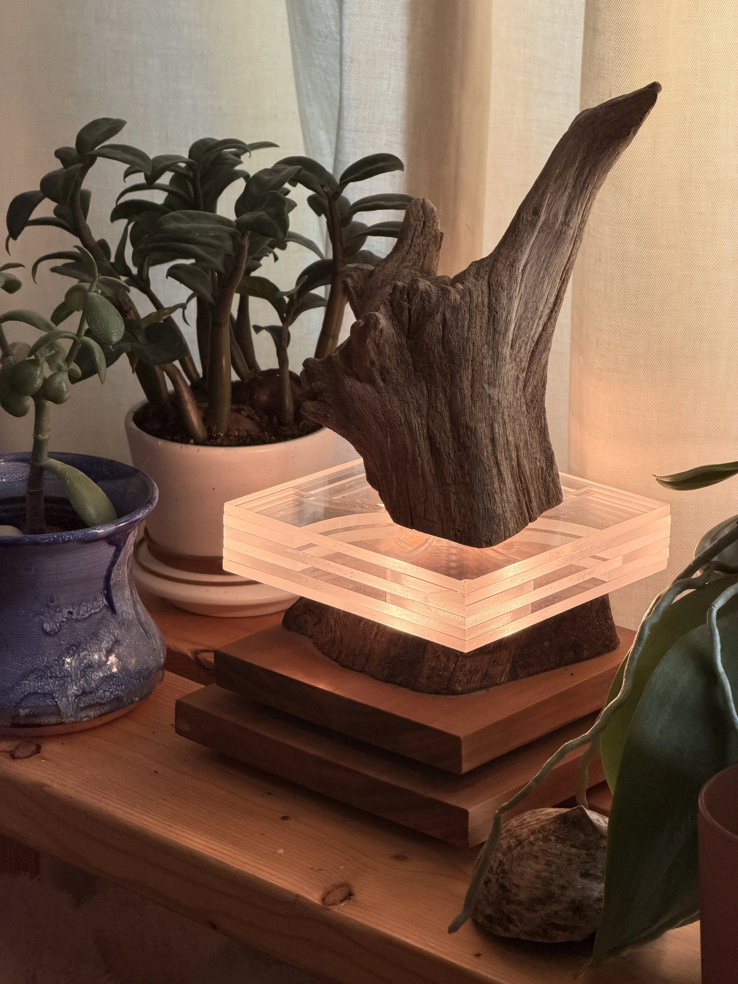A wooden table with a driftwood sculpture on with a glowing base, surrounded by potted plants.
