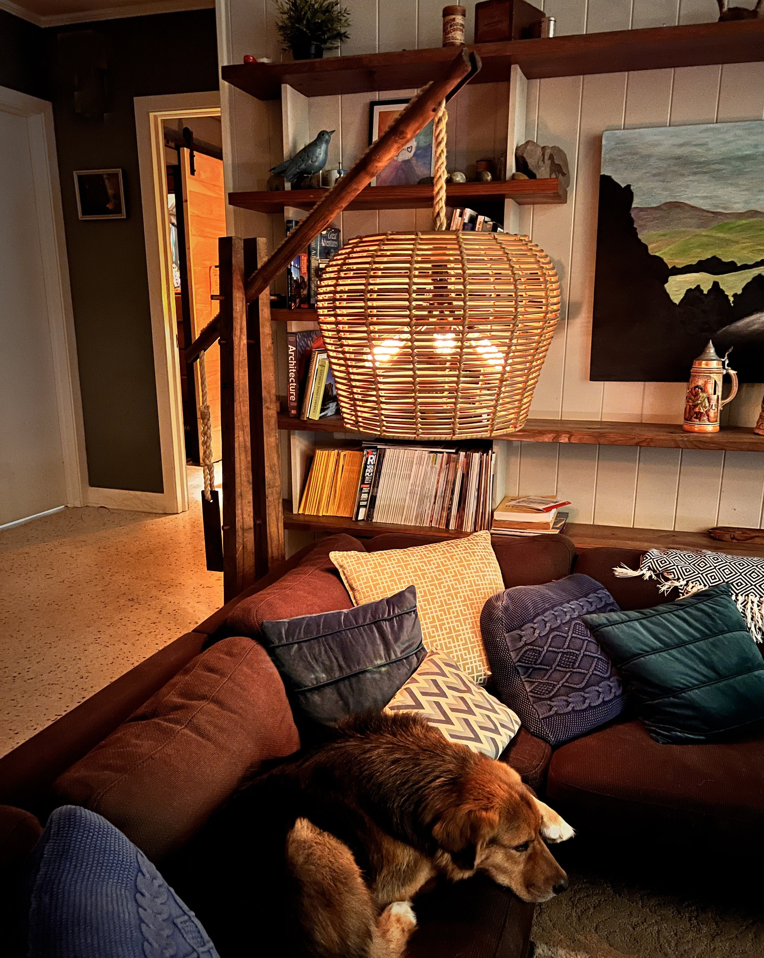 Living room scene with a brown sofa decorated with various patterned pillows. A large dog with a tan and black coat is sleeping on the sofa. In the background, there is a wooden bookshelf filled with books, a large decorative wicker lampshade hanging from the ceiling, and wall art including a landscape painting. Part of a staircase with a rope handrail and a potted plant on a top shelf are visible.